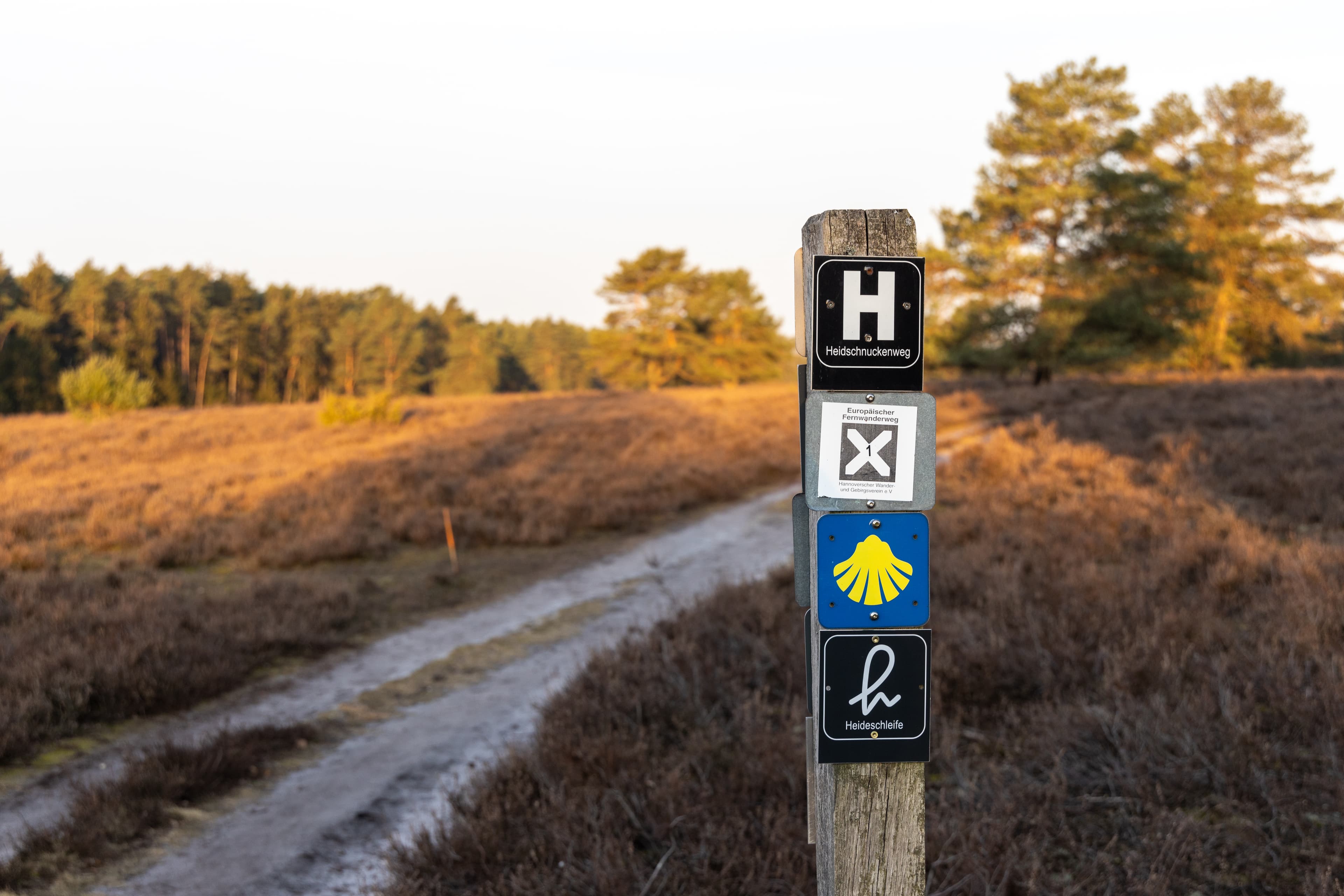 Der Jakobsweg ist überlaufen. Pilgern durch die Stille der Heide