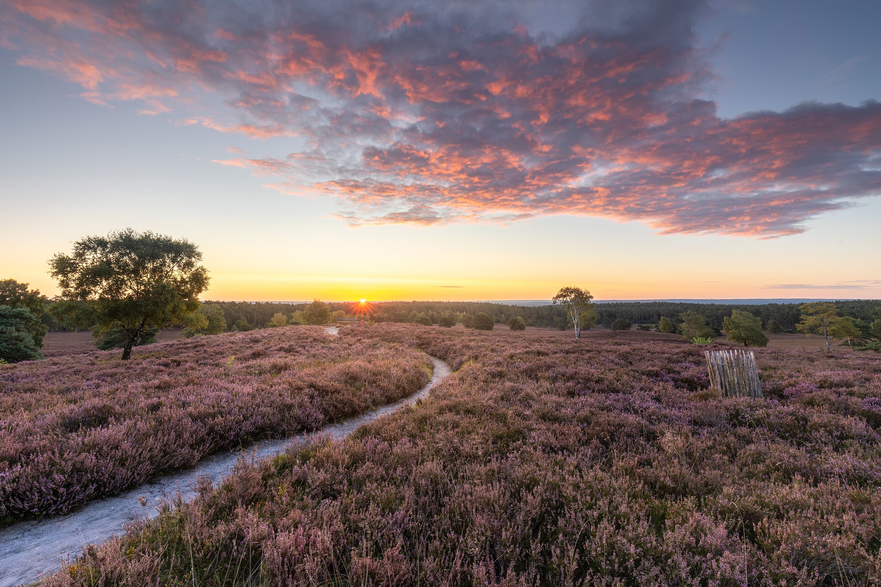 Foto Tipps für die Lüneburger Heide