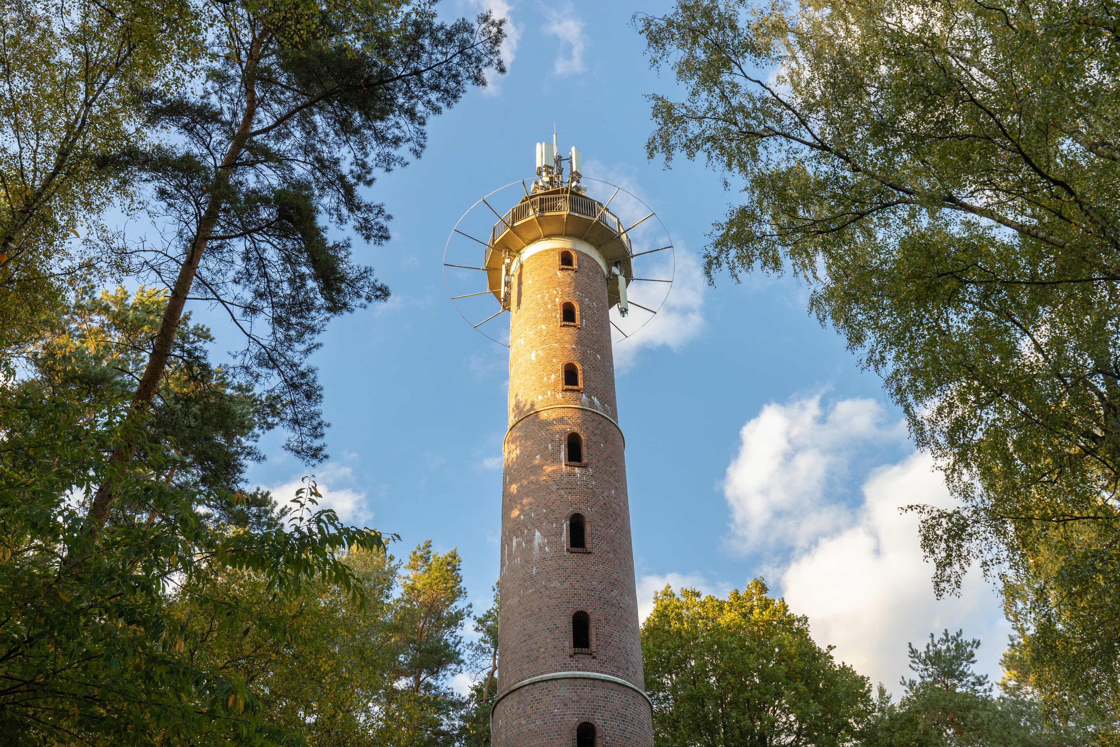 Aussichtspunkte in der Lüneburger Heide – Türme & Panoramablicke entdecken