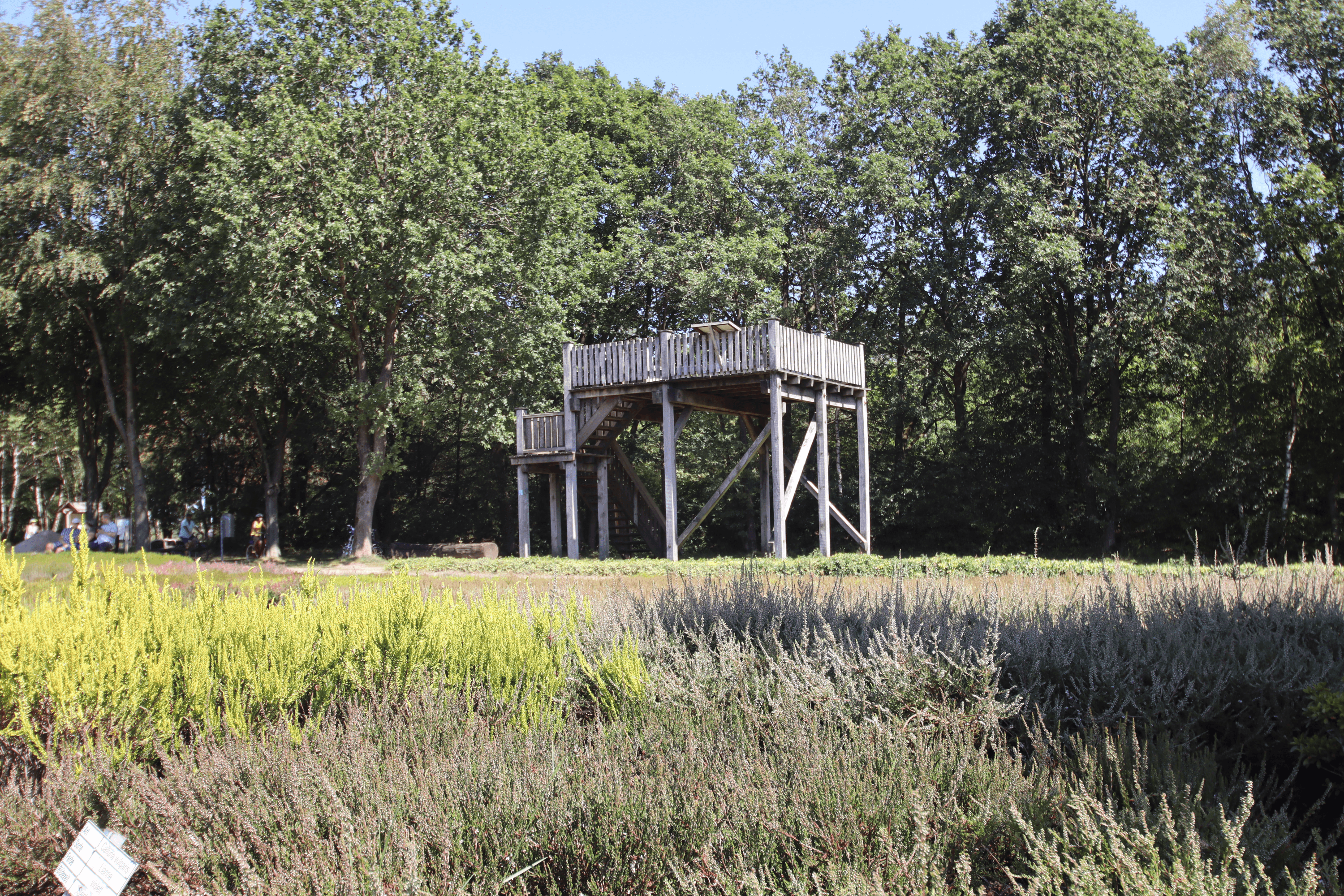 Blick vom Aussichtsturm auf den Heidegarten Schneverdingen