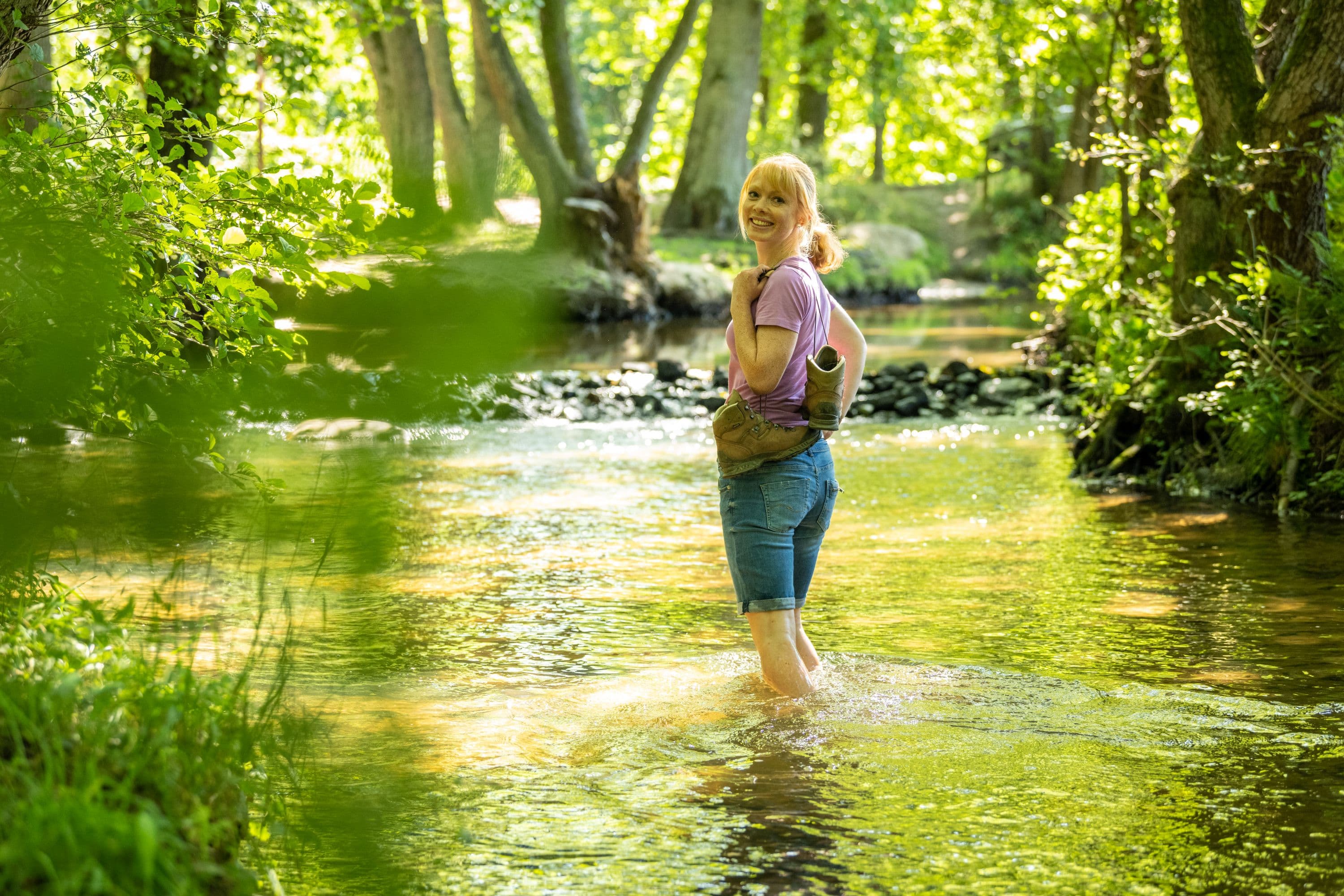 Schmale Aue Hanstedt Wasser