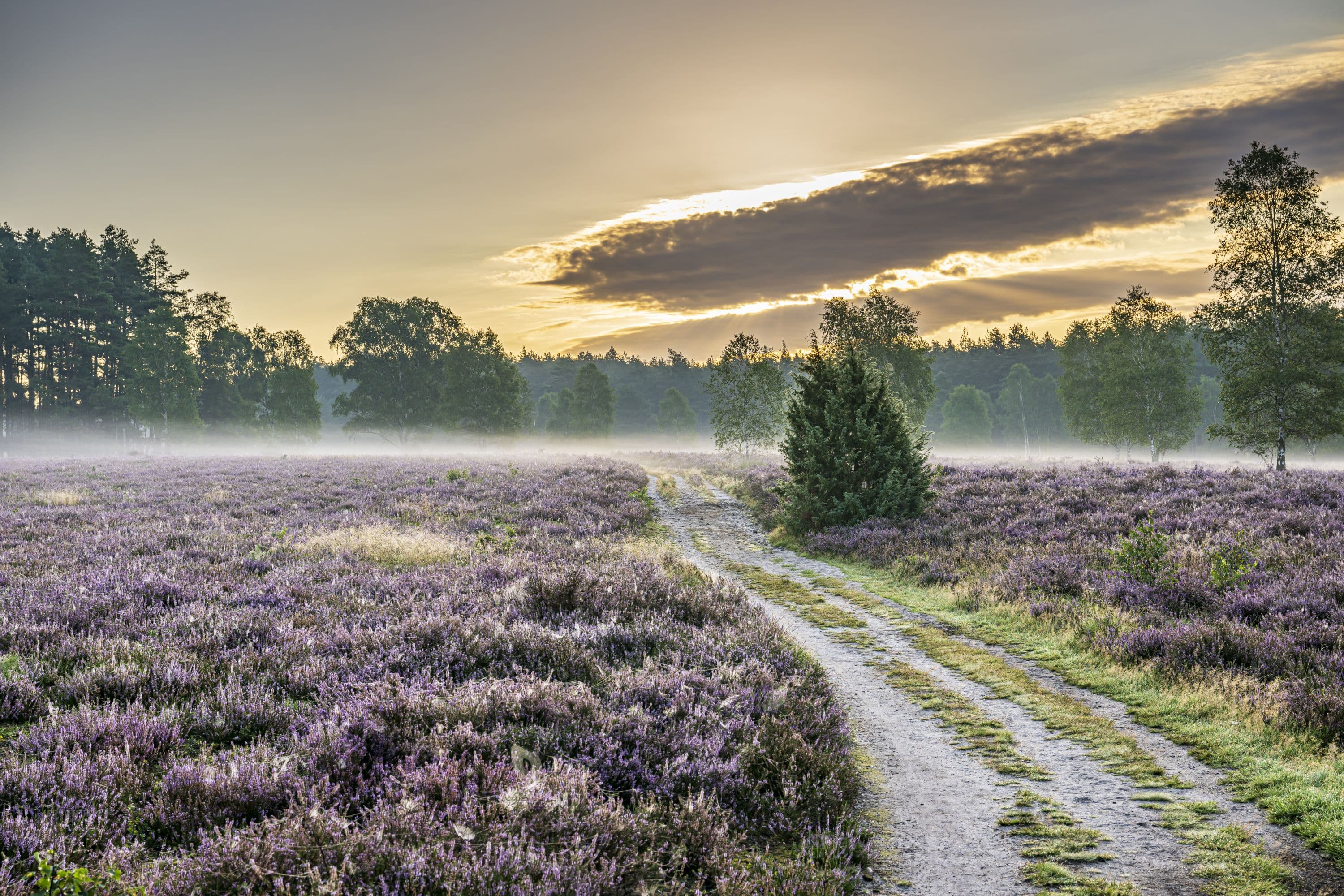 Wandern am Tiefental im Sonnenaufgang HeideschleifeHiking at Tiefental in the sunrise HeideschleifeVandring i Tiefental i solopgangen HeideschleifeWandelen bij Tiefental in de zonsopgang Heideschleife
