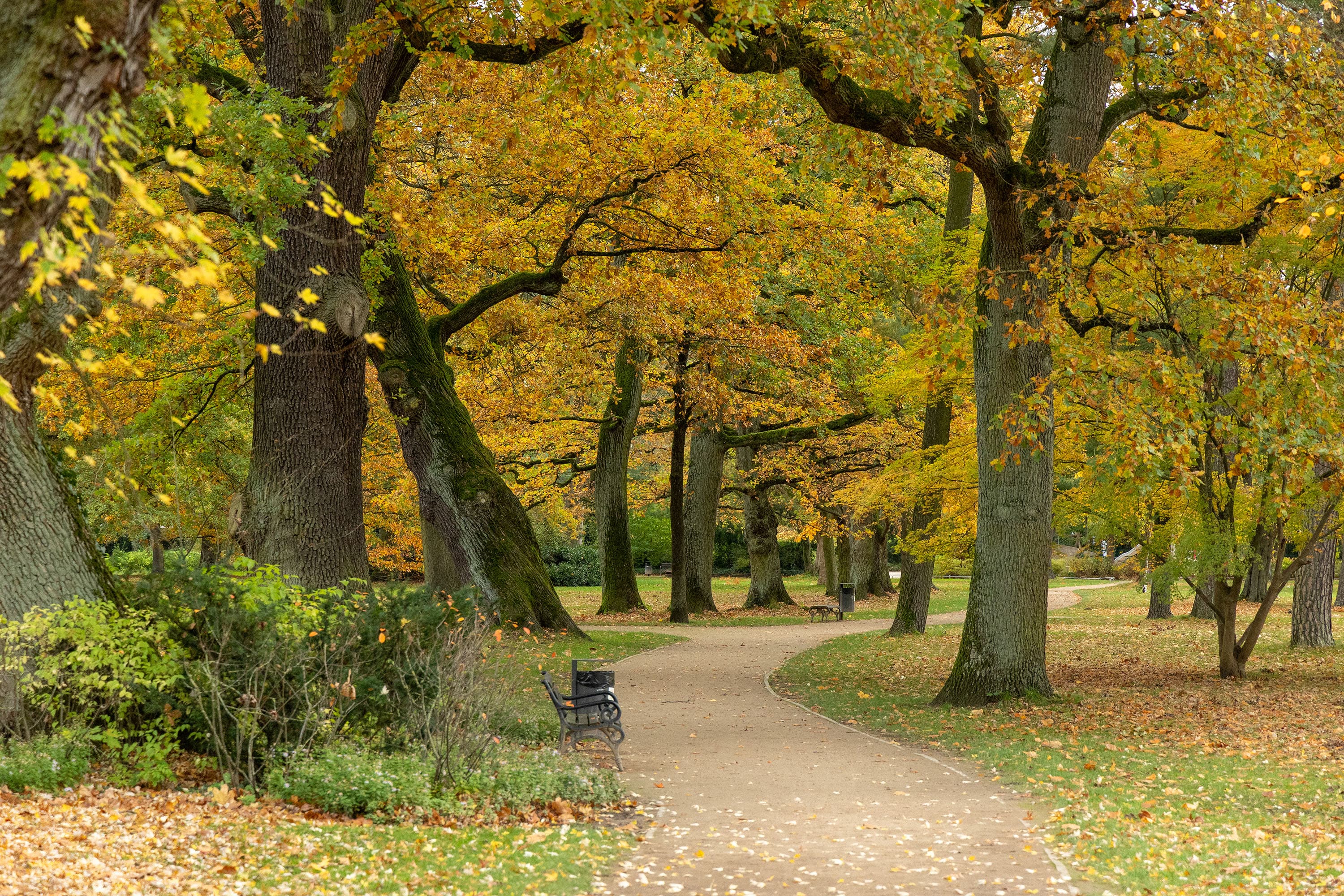 Celle Franzoesischer Garten Herbst