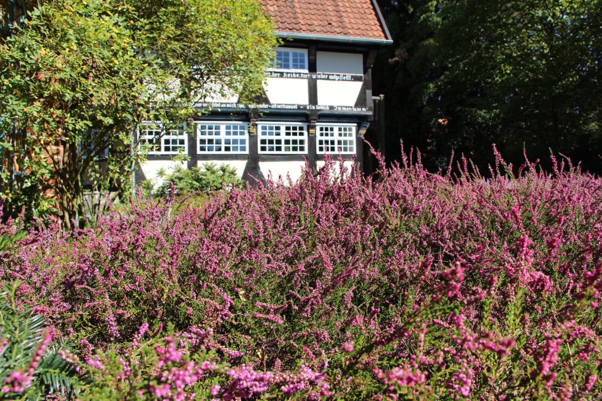 Bieneninstitut LAVES in Celle