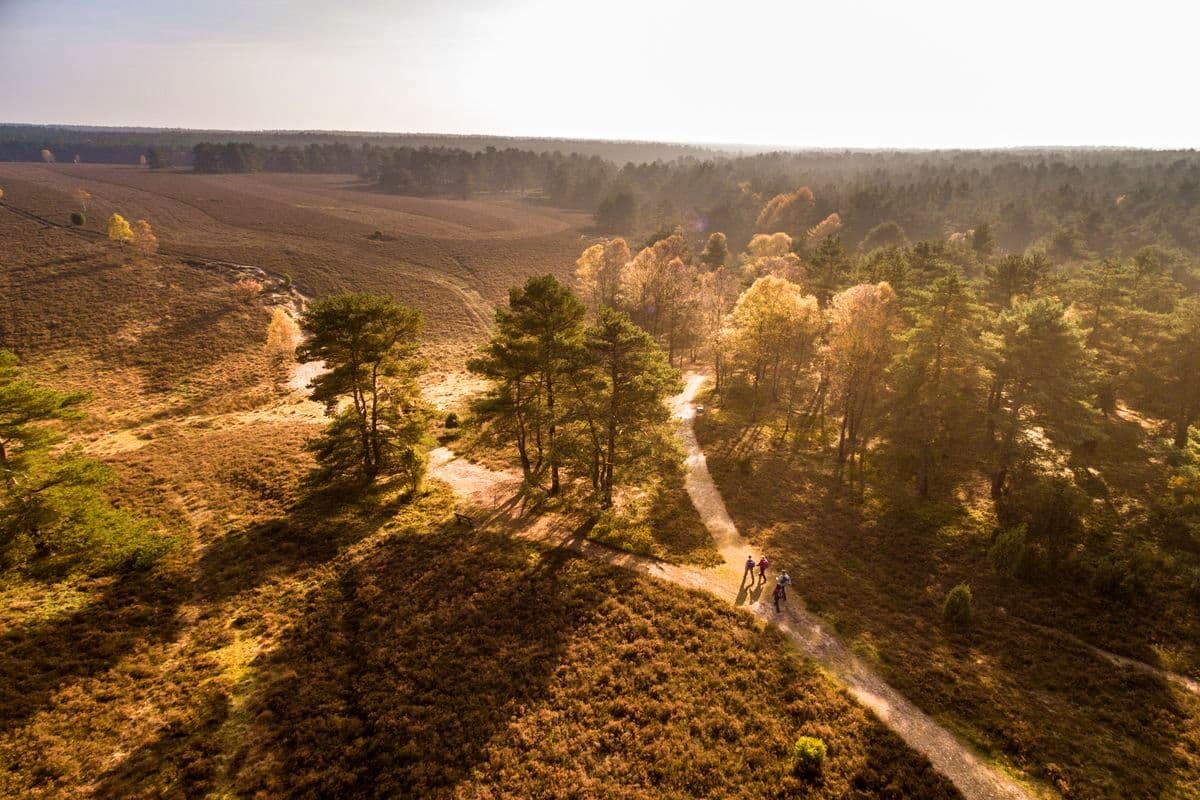 Misselhorner Heide, Hermannsburg, Naturpark Südheide