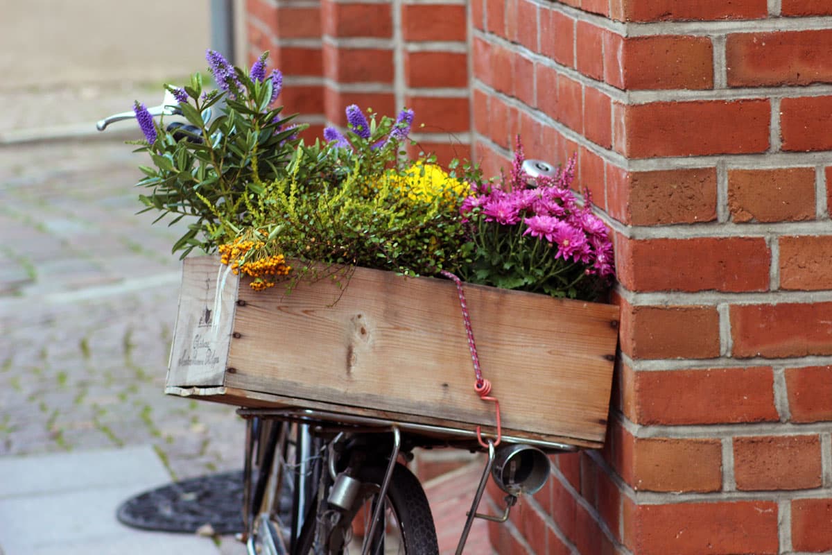 Das Senkungsgebiet in Lüneburgs Altstadt macht große Probleme