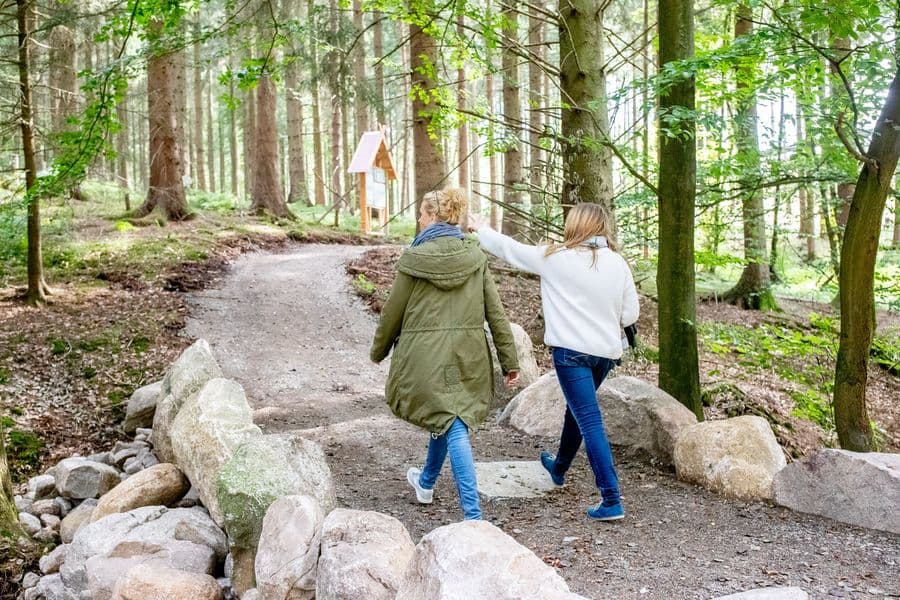 Heide Himmel südlich von HamburgHeath sky south of HamburgHedehimmel syd for HamborgHeidehemel ten zuiden van Hamburg