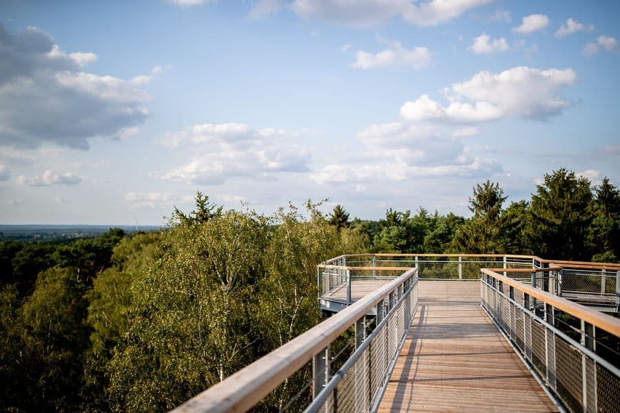 Heide Himmel Baumwipfelpfad HöhenwegHeide Himmel treetop walkHeide Himmel trætop-vandringBoomkroonwandeling Heide Himmel