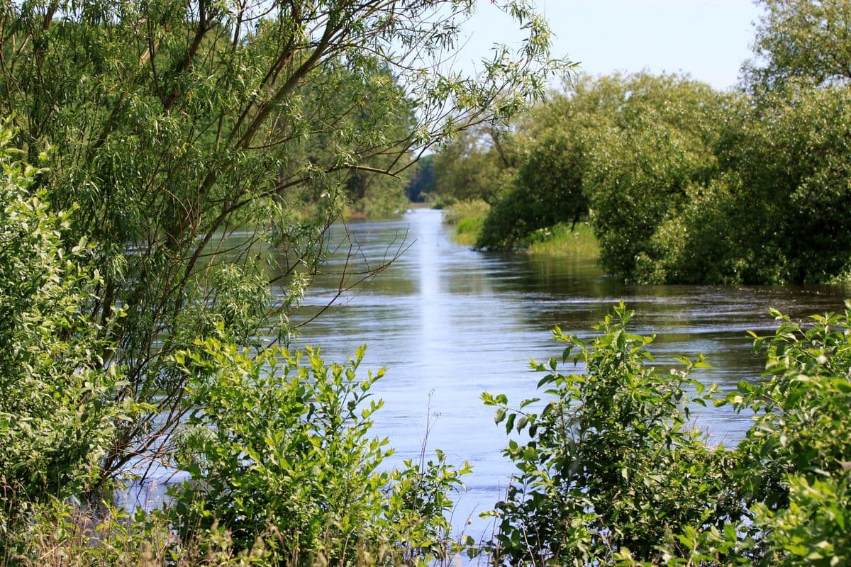 Meissendorfer Teiche, Huettenseepark, Meissendorf, Suedheide