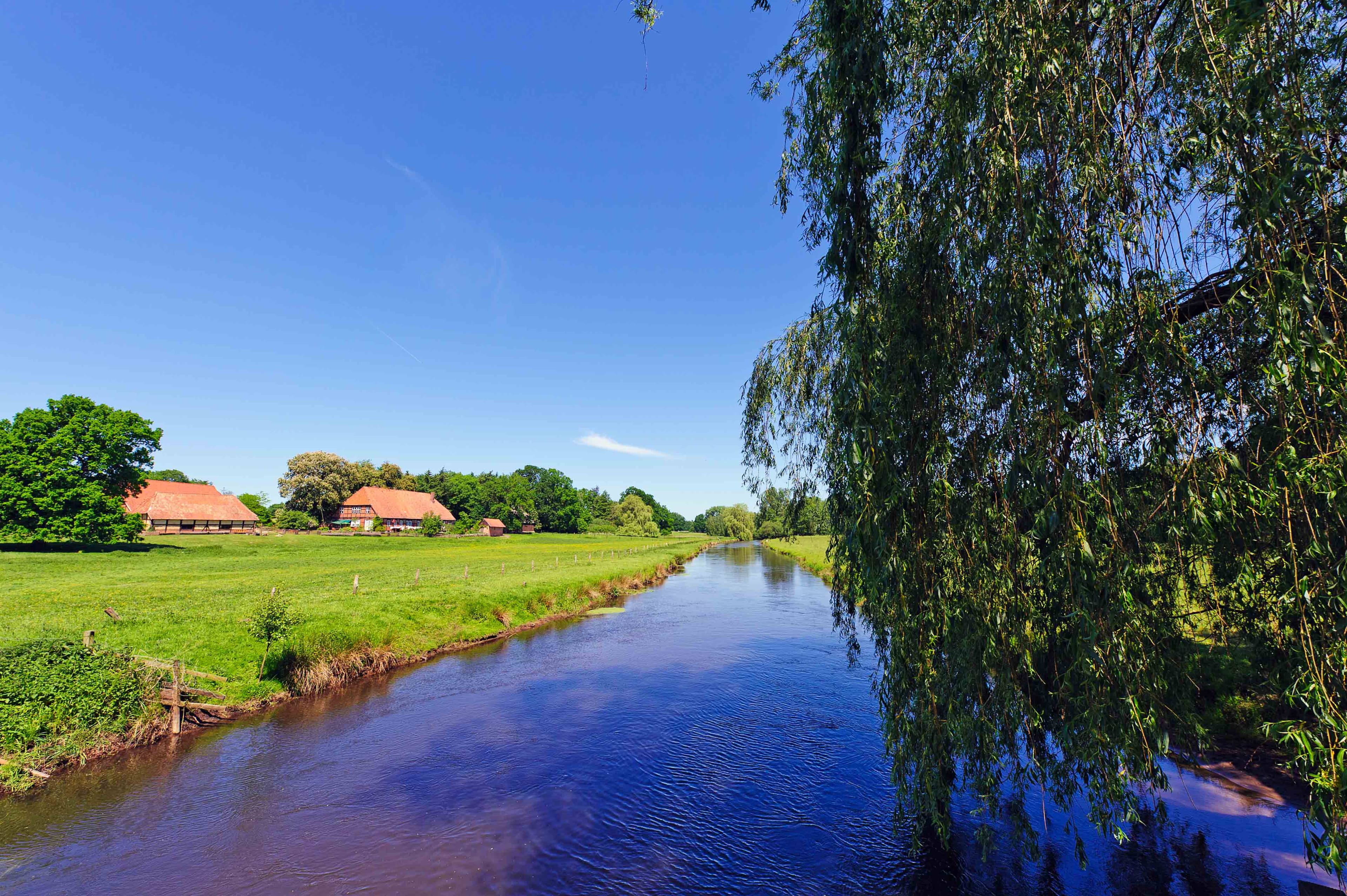 Ein wunderschöner Sommertag am fluss Ilmenau