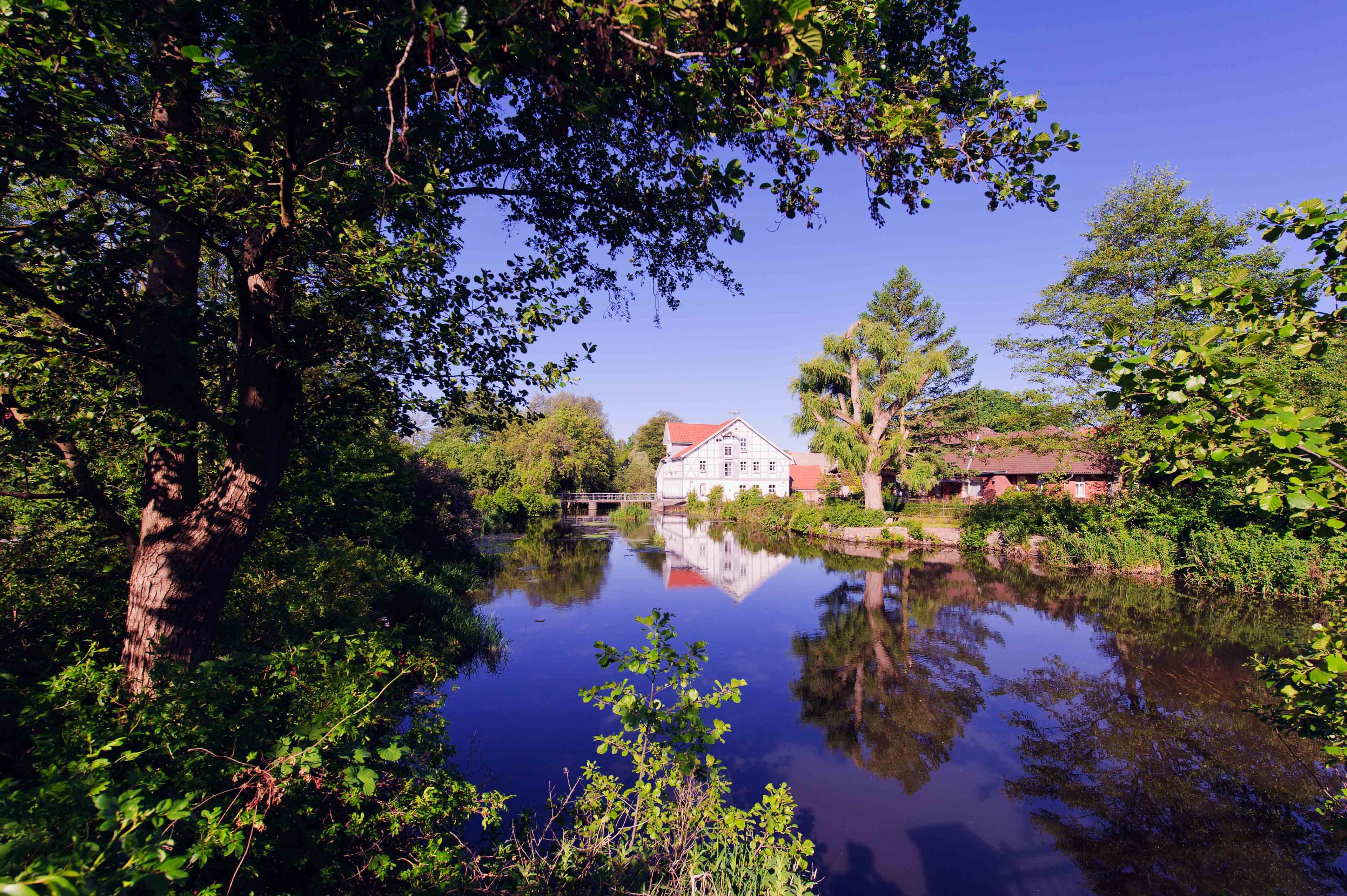 ruhig fliesst die Ilmenau durch den Osten der Lüneburger Heide