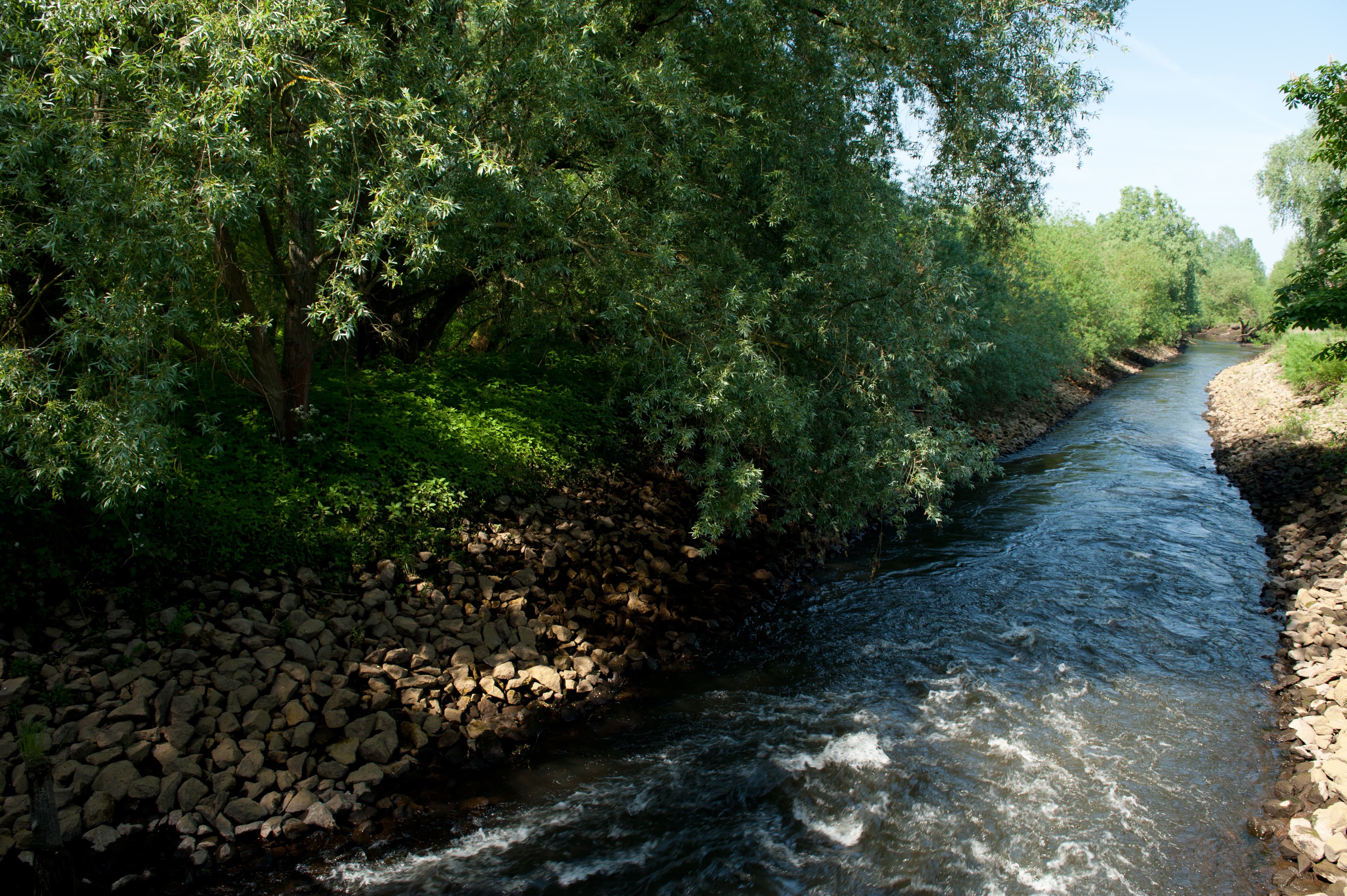 Der Fluss Ilmenau ist ein ffh schutzgebiet