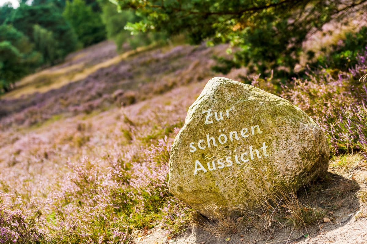 die behringer heide liegt in bispingen in der lüneburger heide