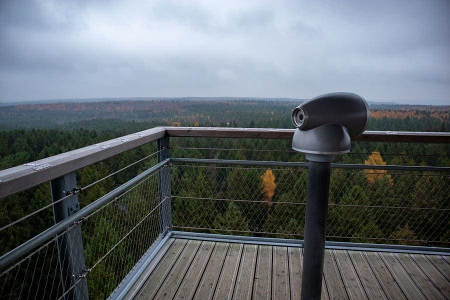 Tolle Aussicht von oben vom BaumwipfelpfadGreat view from the top of the treetop walkFantastisk udsigt fra toppen af trætopvandringenGeweldig uitzicht vanaf de top van de boomtopwandeling