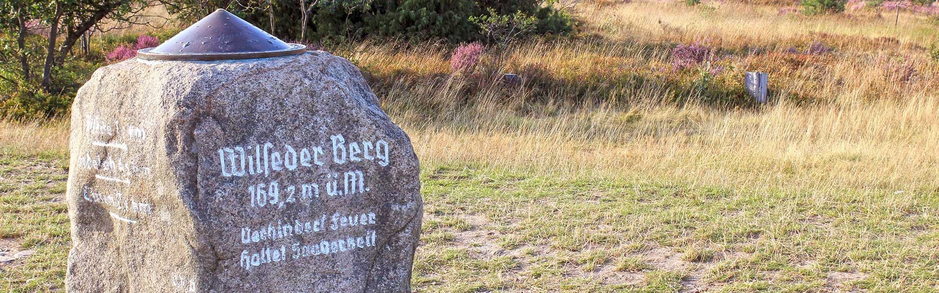 Wilseder Berg Lüneburger heide mit Gipfel Stein