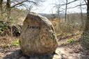 Loreley-Felsen im WIlschenbruch