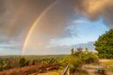 Ausblick vom Wilseder Berg mit Regenbogen