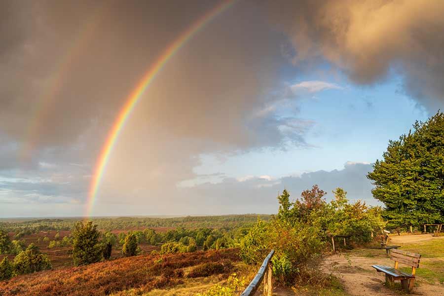 Ausblick vom Wilseder Berg mit Regenbogen