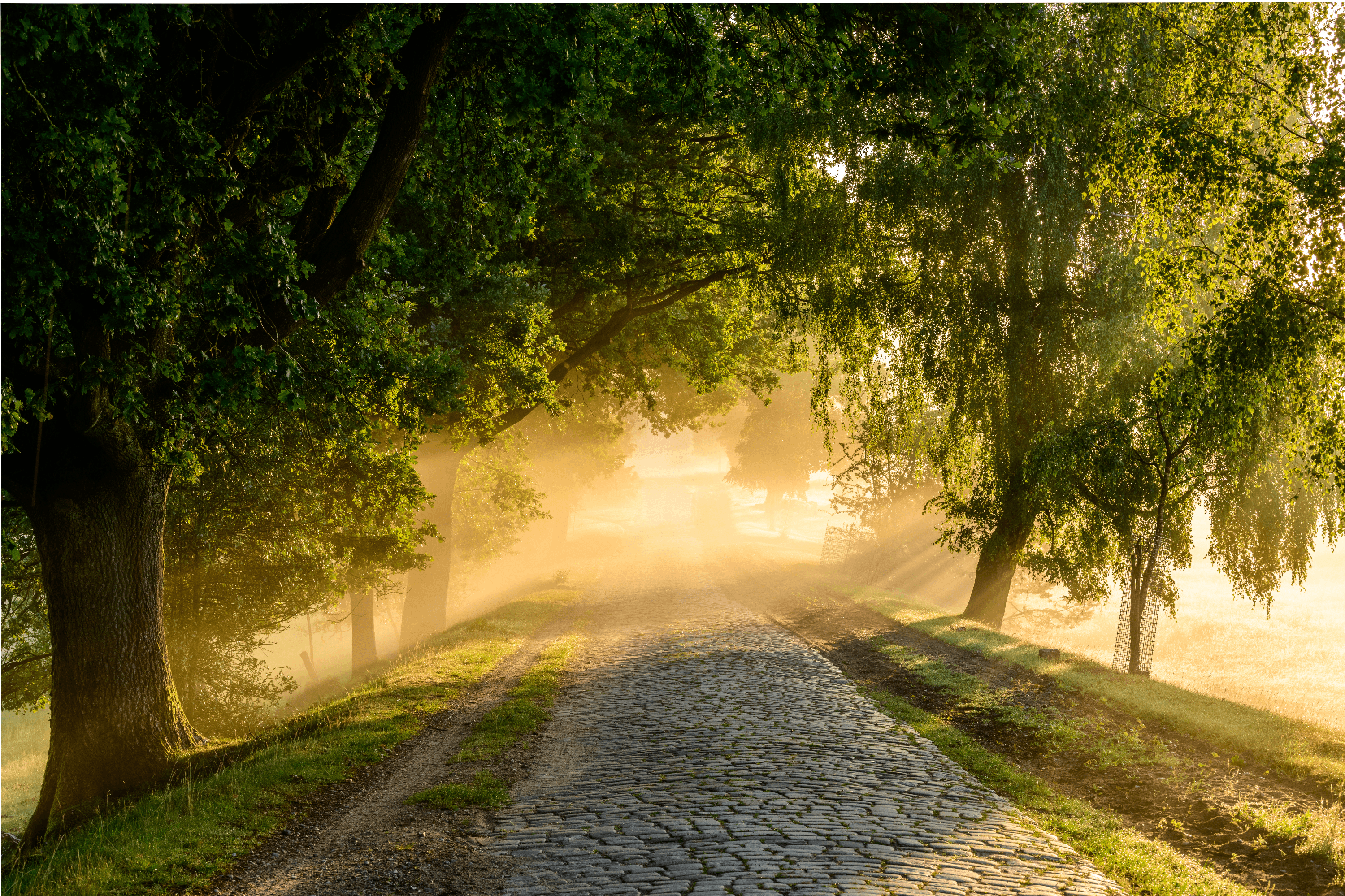 Weg von Oberhaverbeck nach Wilsede