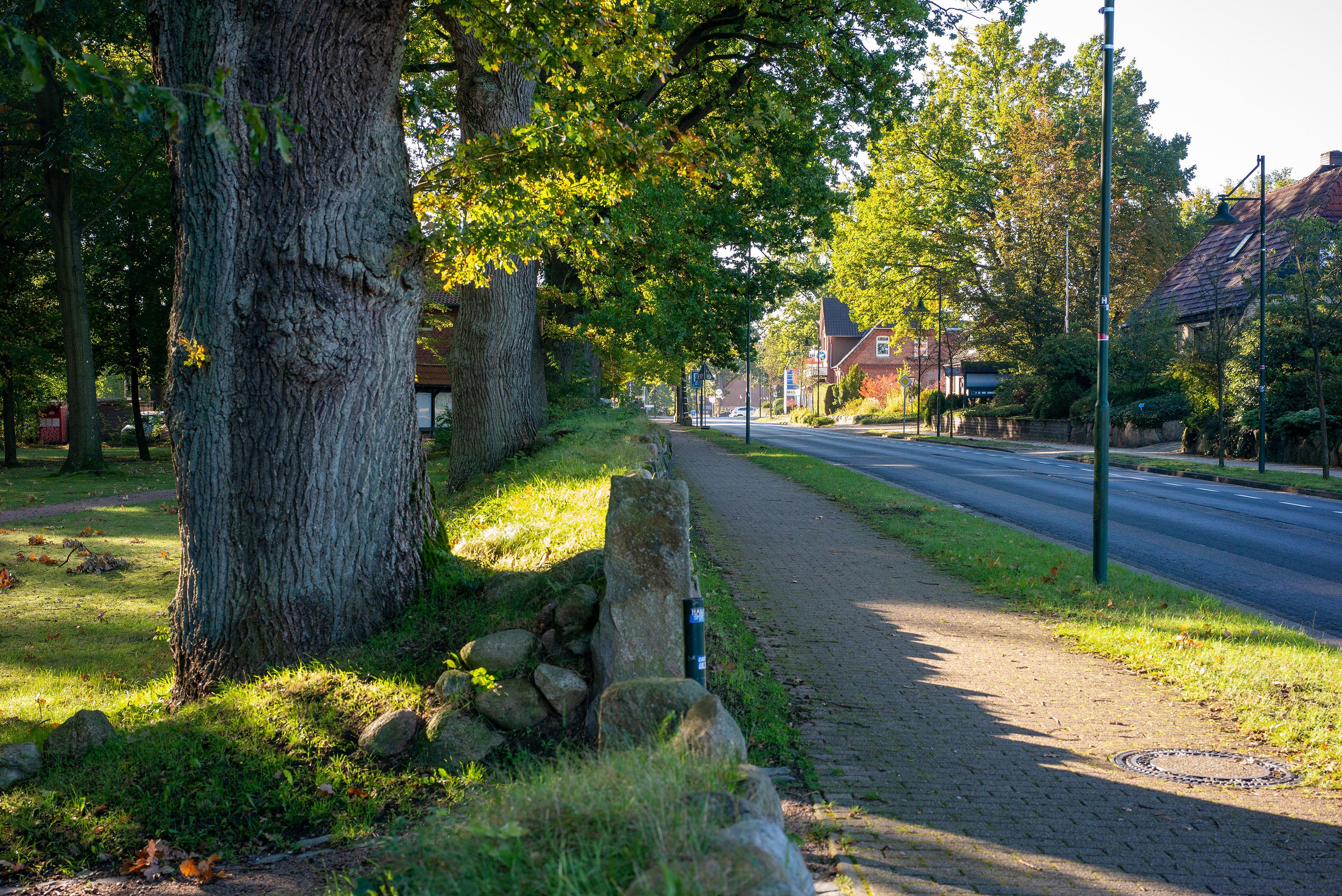 Bispingen in der Lüneburger Heide