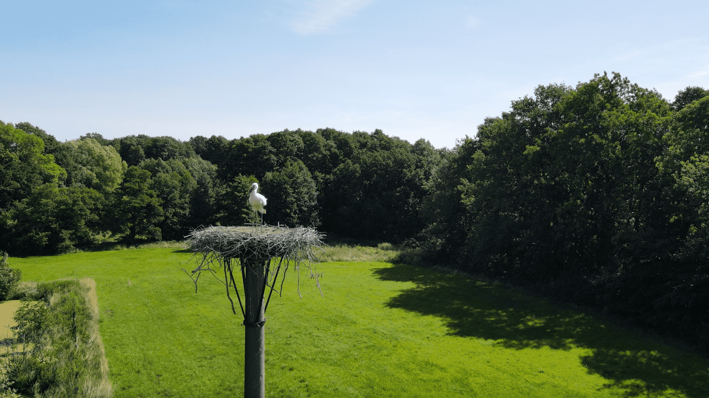 Storchennest auf dem Neuland-Hof Spöring