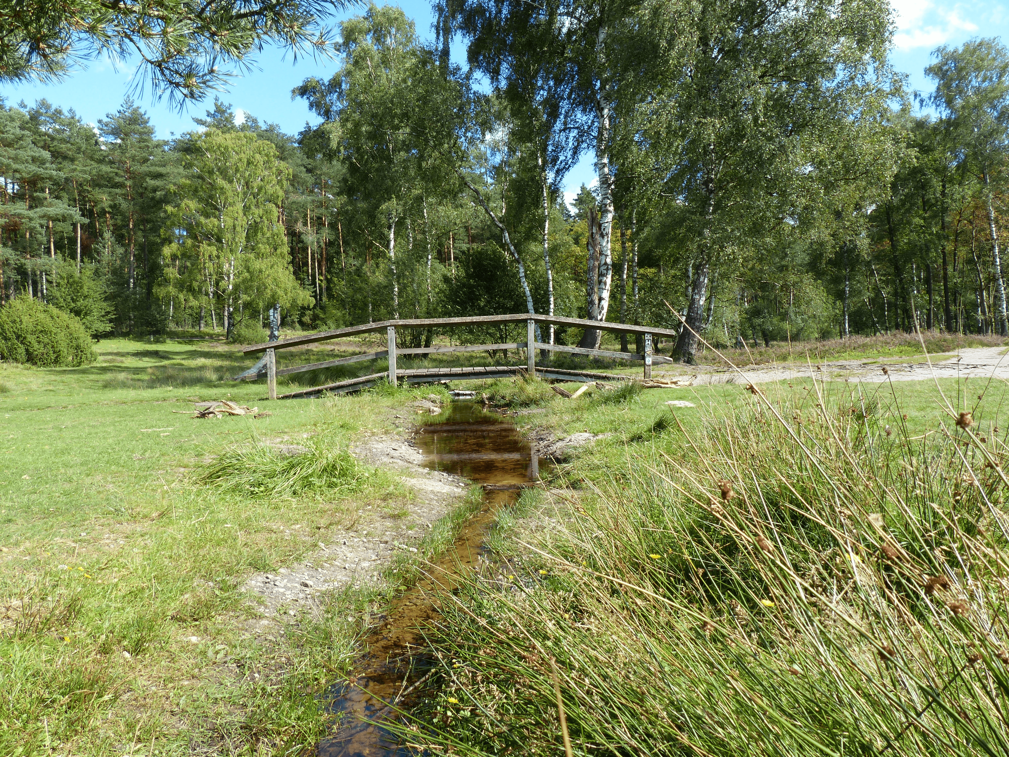 Büsenbachtal Brücke