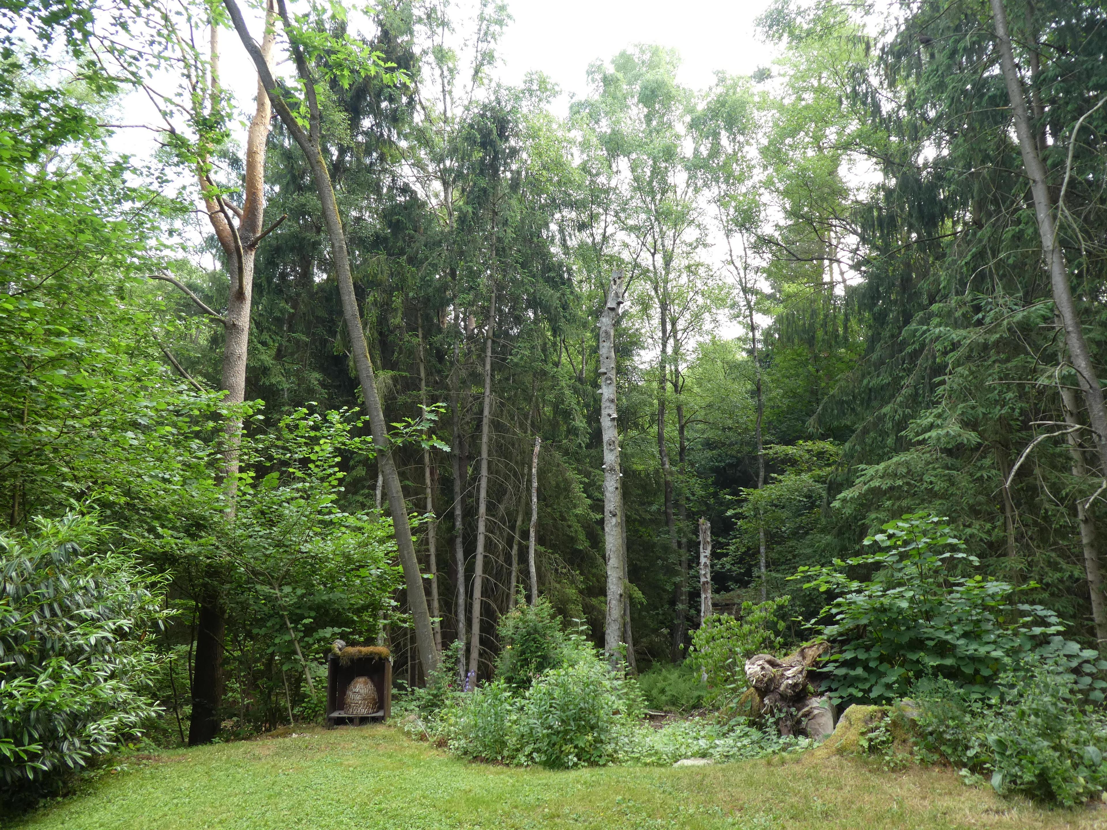 Blick in den Garten der Ferienwohnung Niemann in Lutterloh