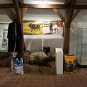 Anschauliche Objekte und spannende Informationen zur Arbeit mit Tieren im Naturschutzgebiet Lüneburger Heide