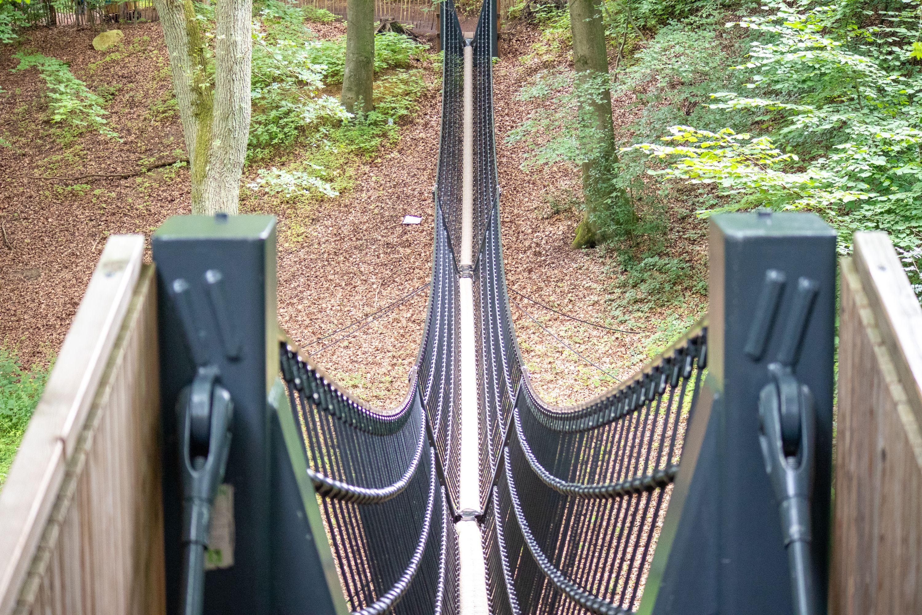 Hängebrücke im Barfußpark Egestorf