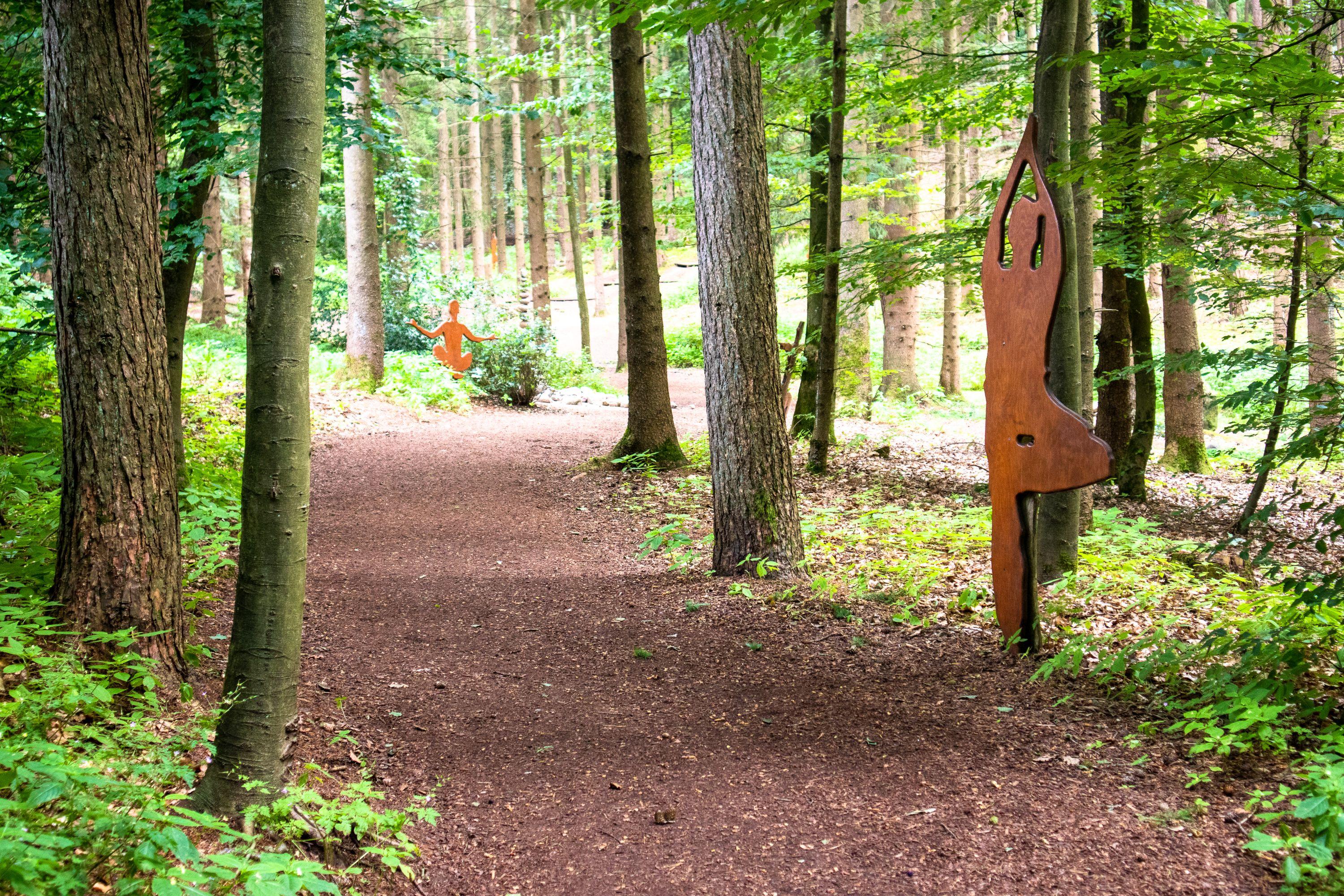 Yoga-Wald im Barfußpark Lüneburger Heide