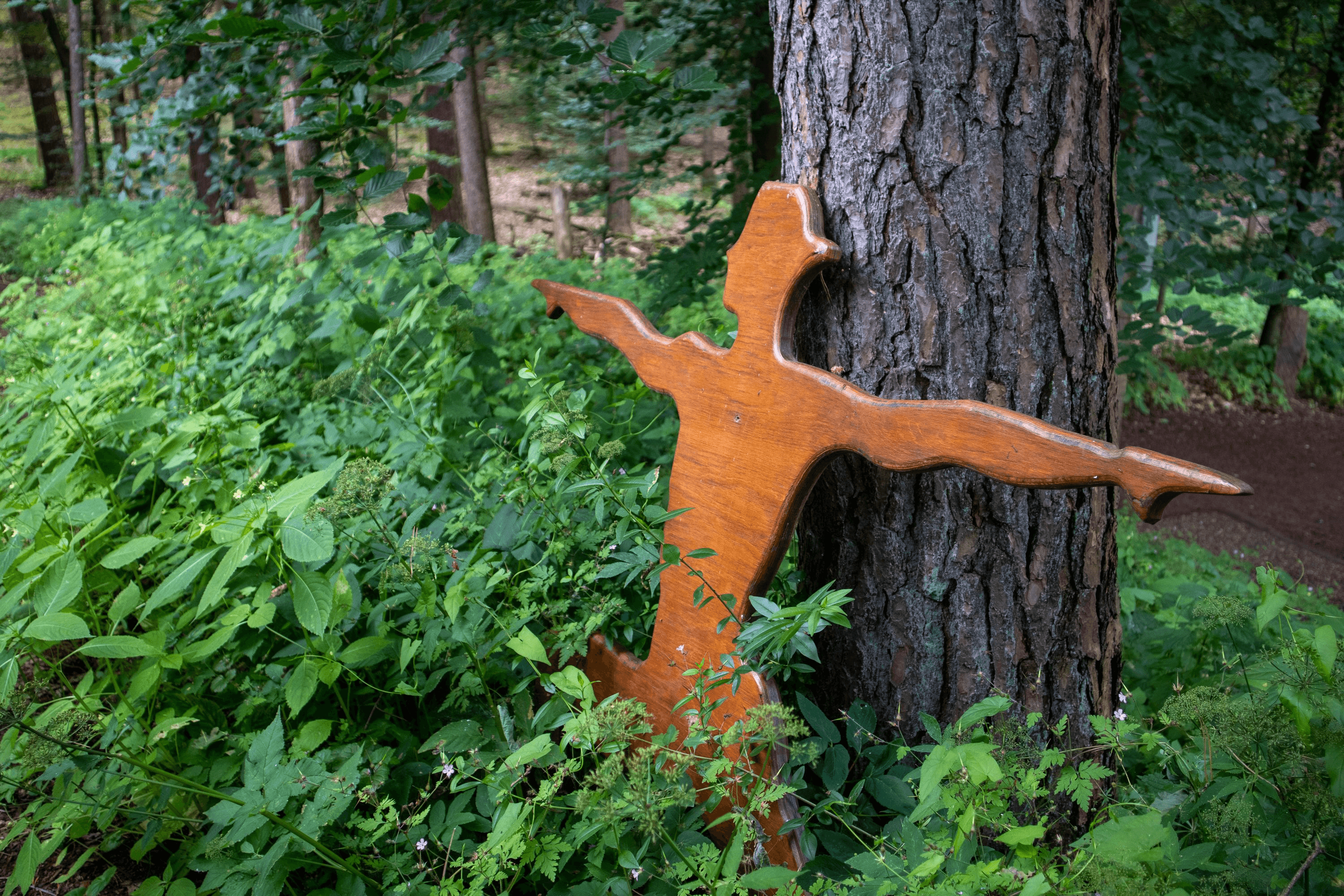 Im Yoga Wald im Barfußpark der Lüneburger Heide