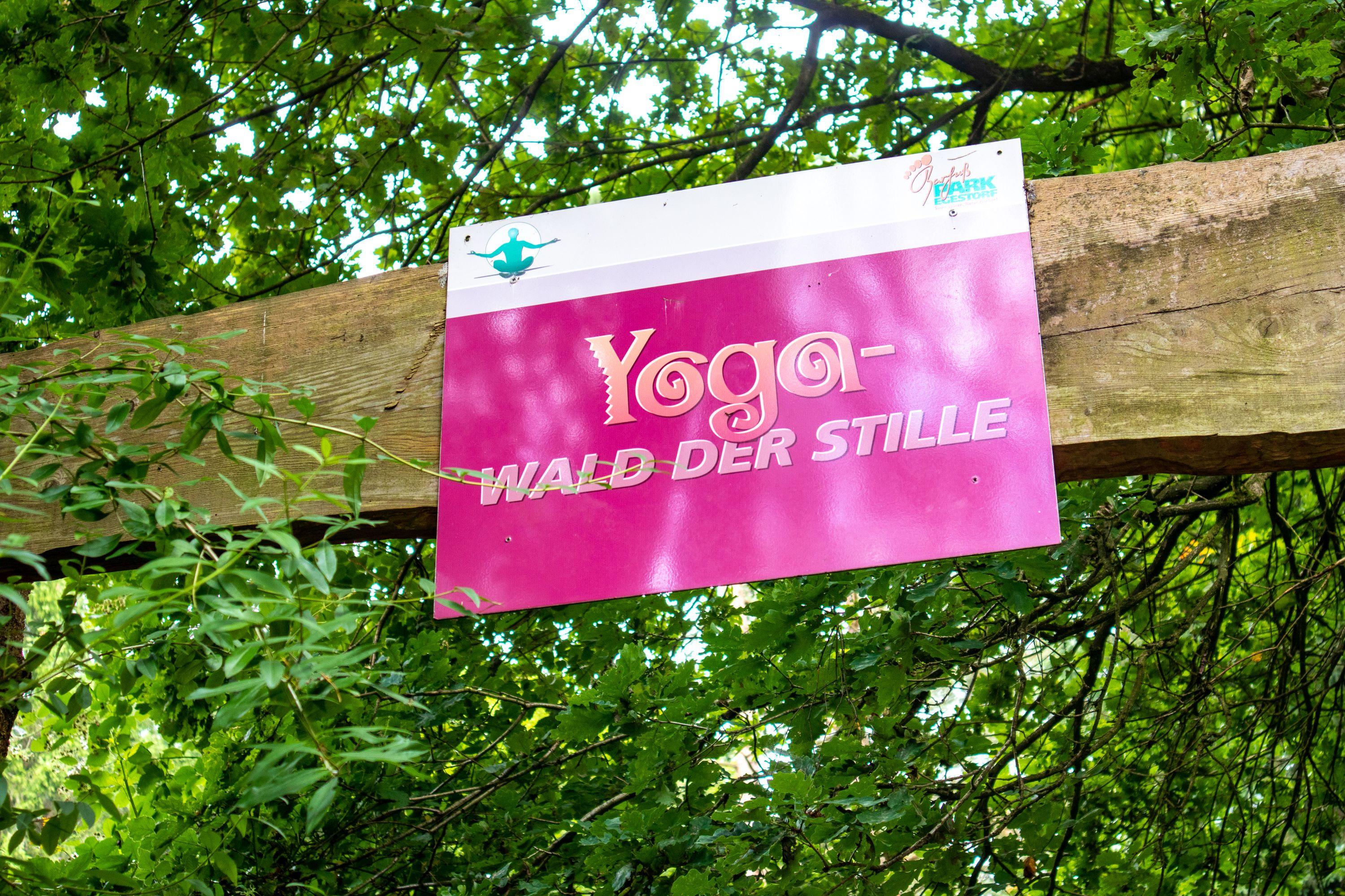 Yoga-Wald im Barfußpark Egestorf