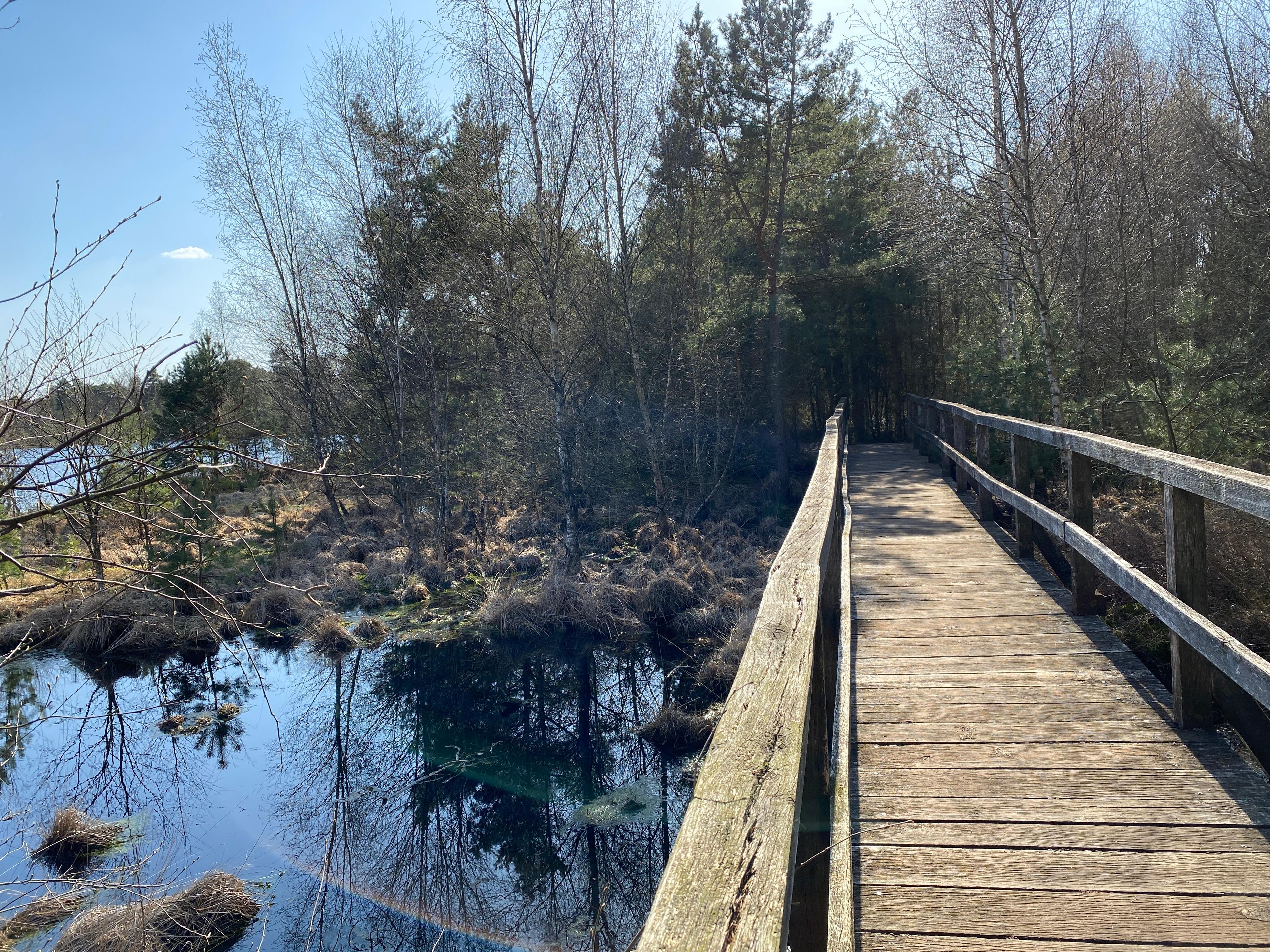 Brücke am Grundlosen Moor Walsrode