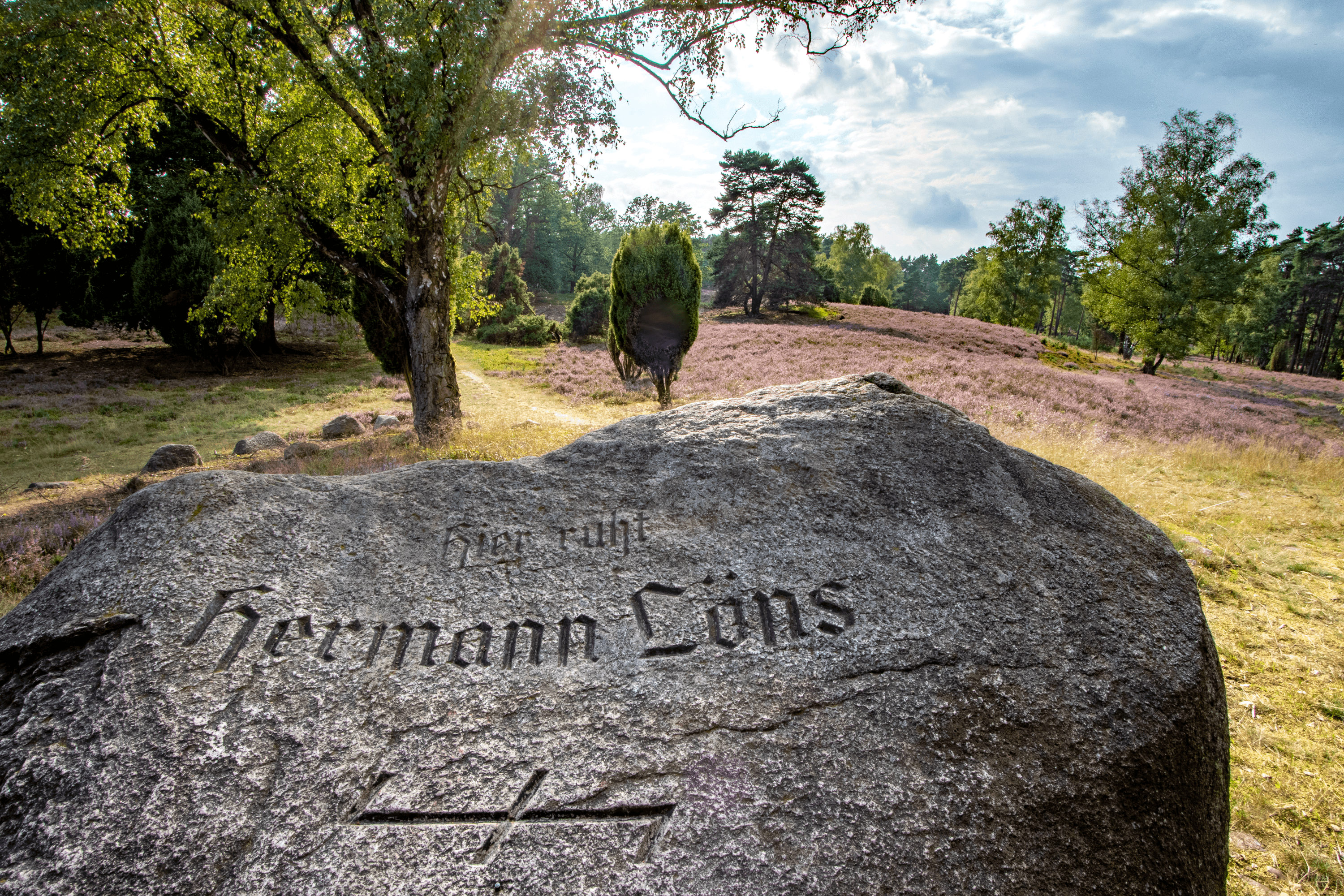 Das Grab von Hermann Löns mit Heidefläche