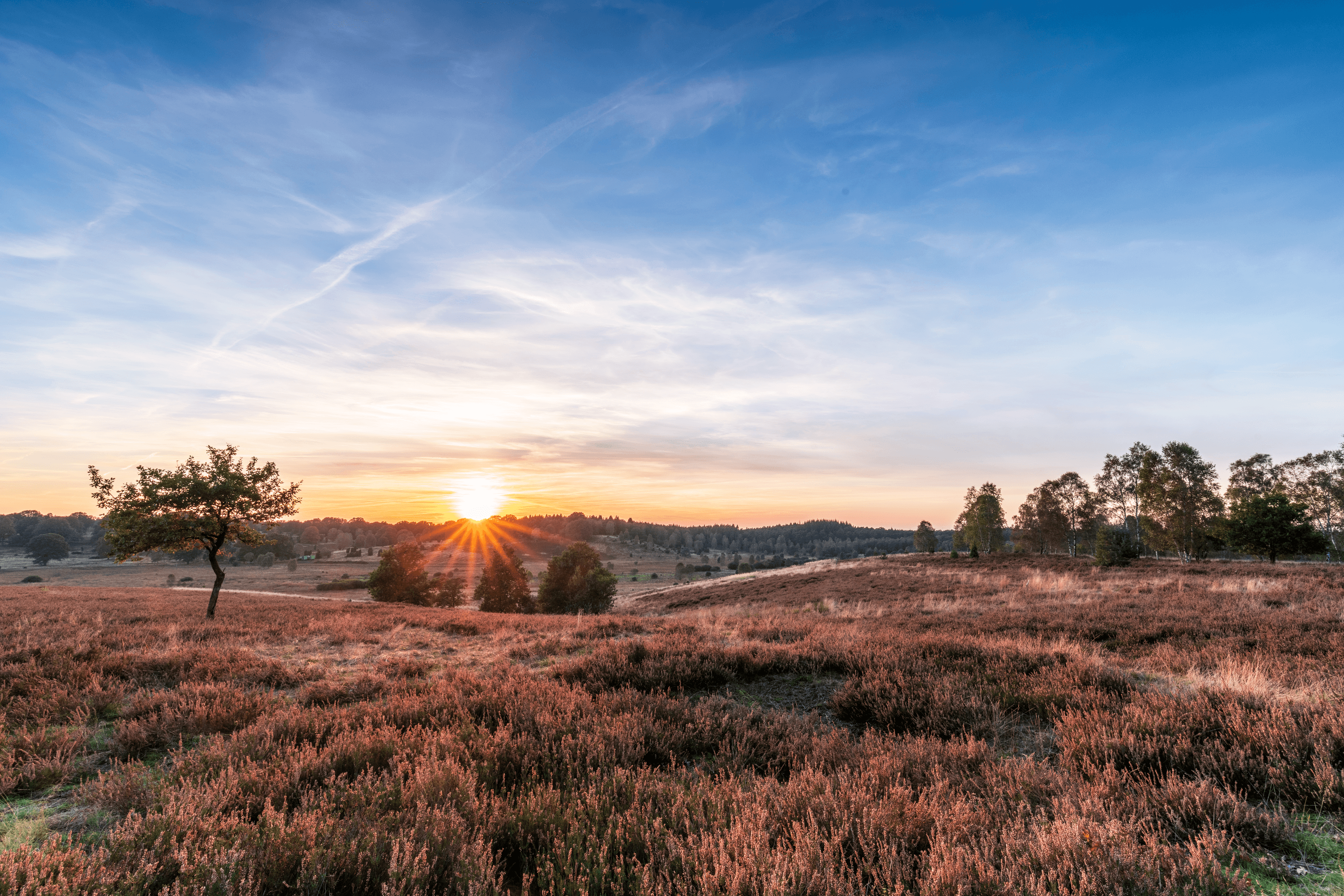 Blick-Richtung-Wuemmeberg-mit-Sonnenuntergang