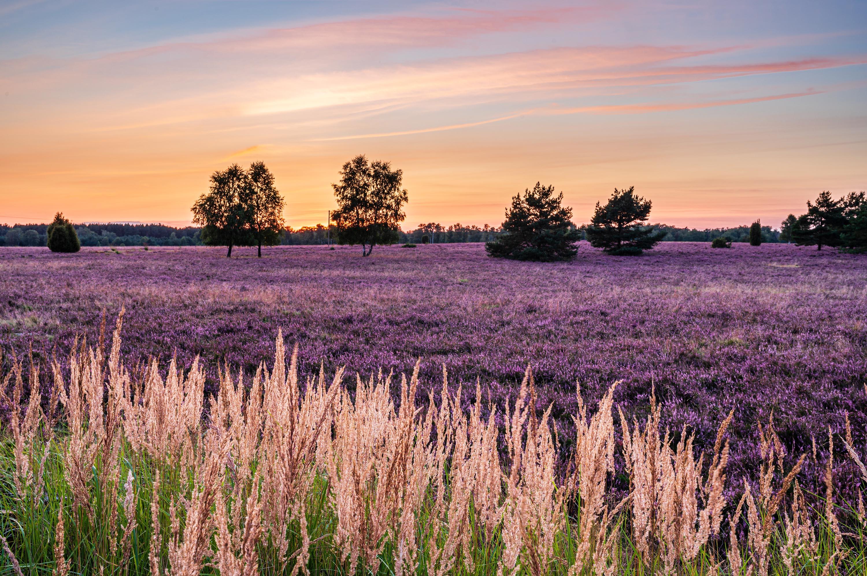 InstaMeet 60 Jahre Naturpark Suedheide