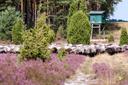 InstaMeet 60 Jahre Naturpark Suedheide