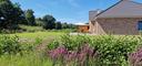 Ferienhaus Wiesenblume in schöner Natur