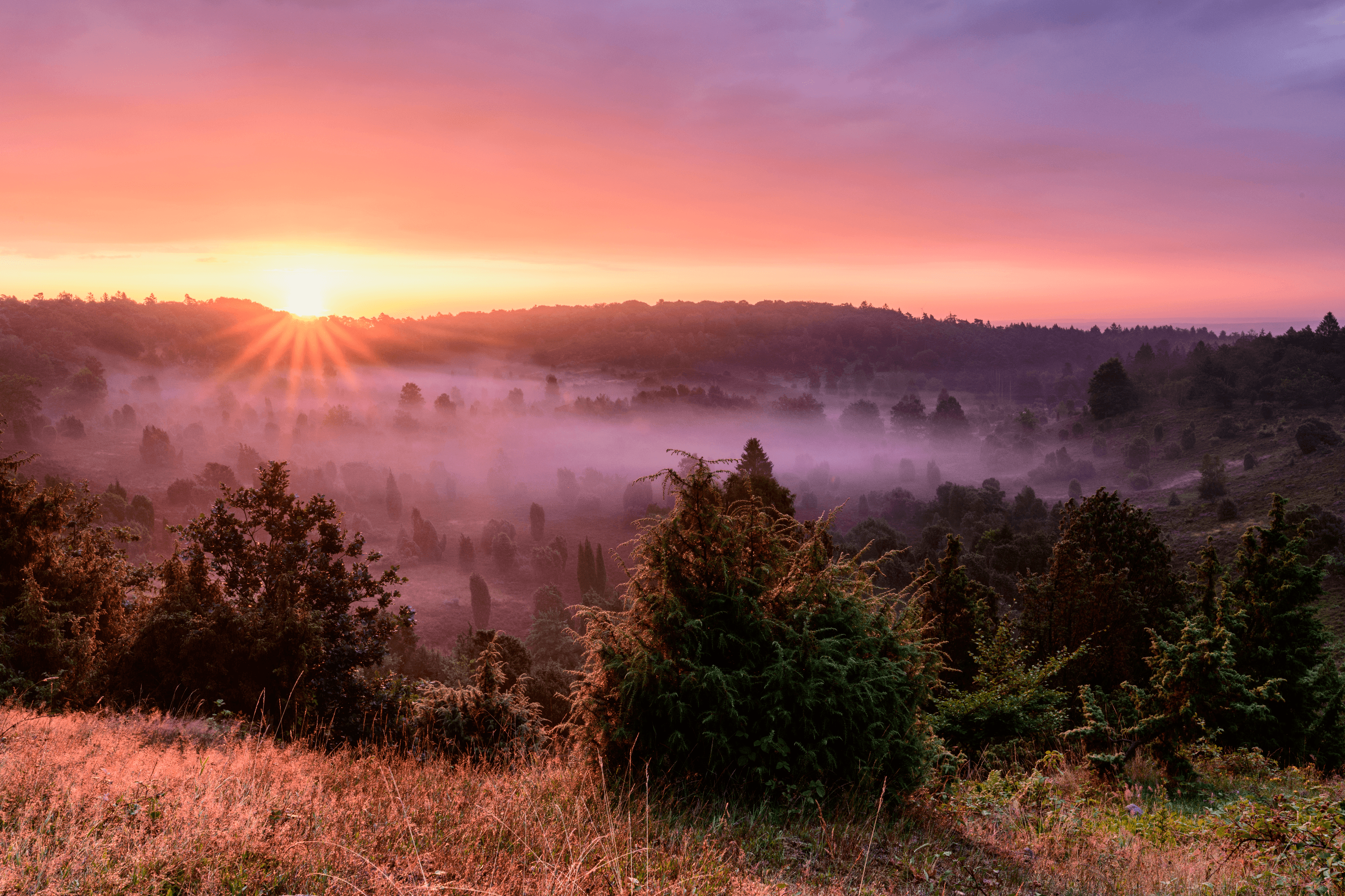 Sonnenstern_über_Totengrund_am_Morgen