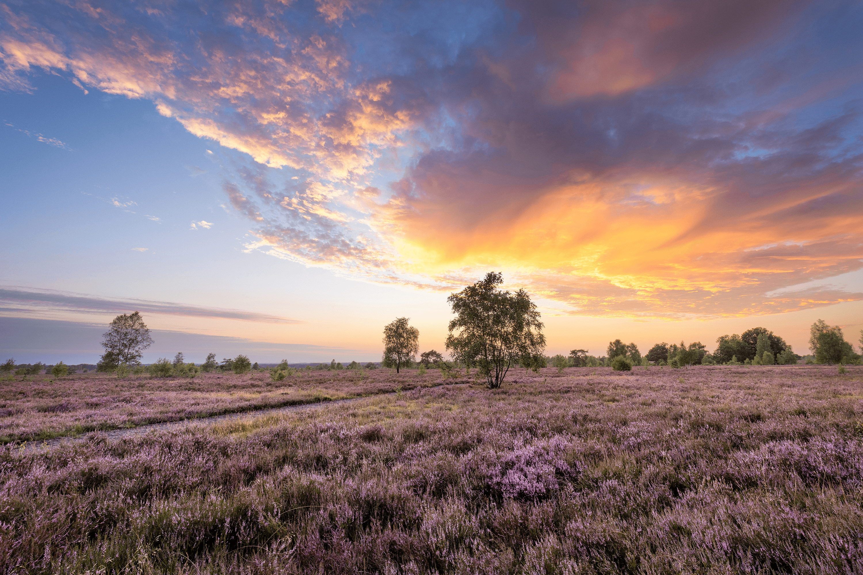 Tolle Foto Locations in der Lüneburger Heide