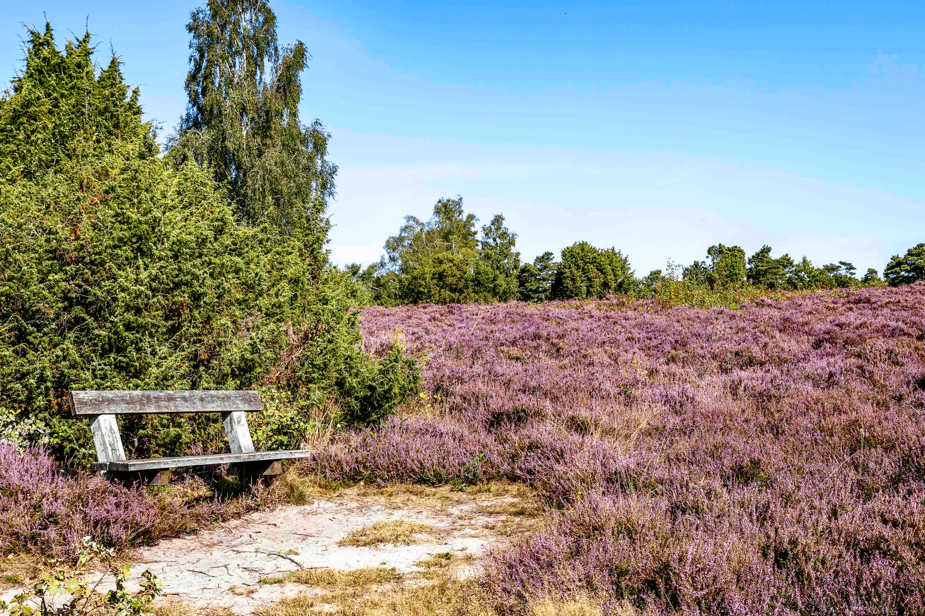 Bank am Wietzer Berg