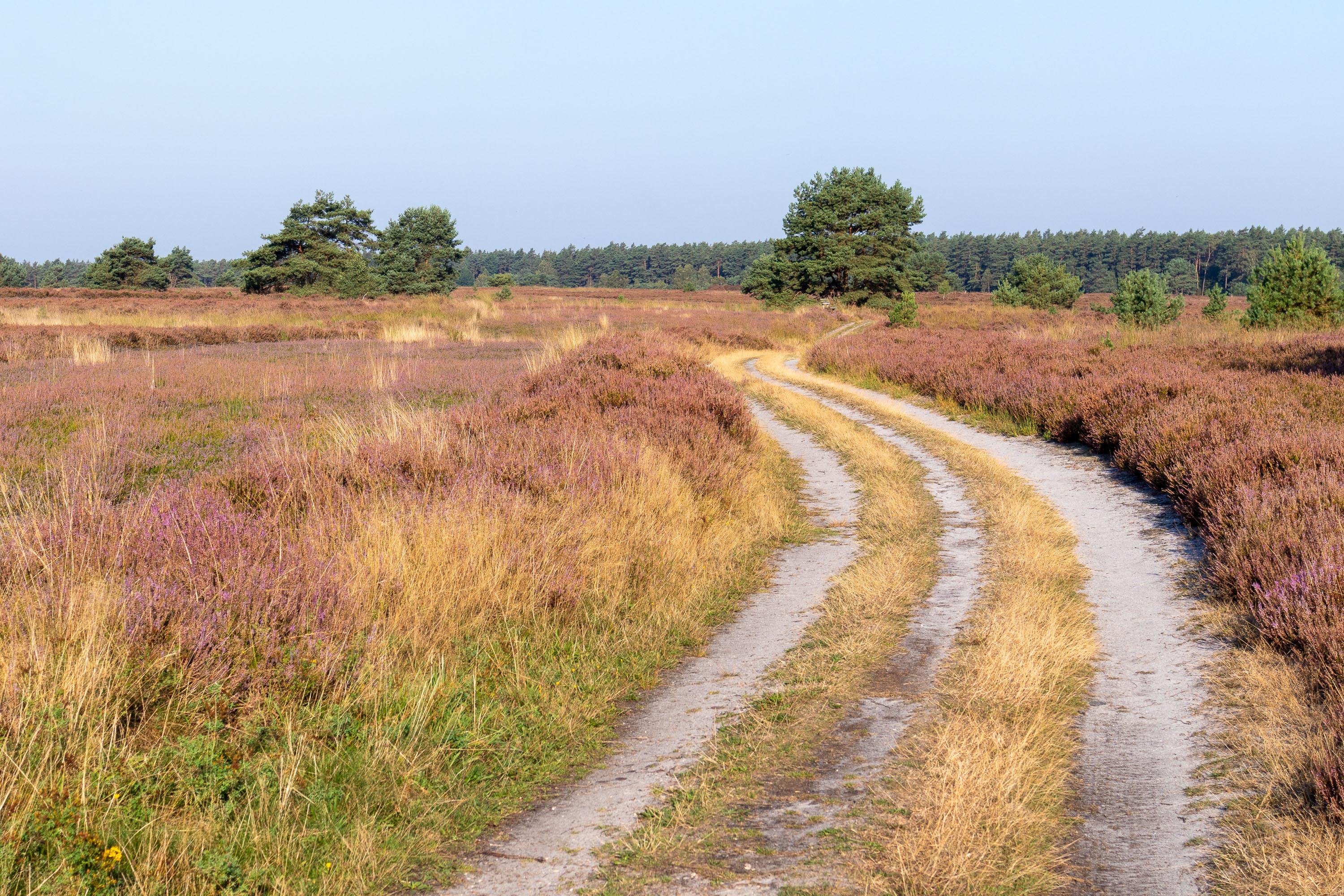 05.09.2024 Töps Heide