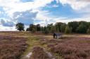 09.09.2024 Weseler Heide