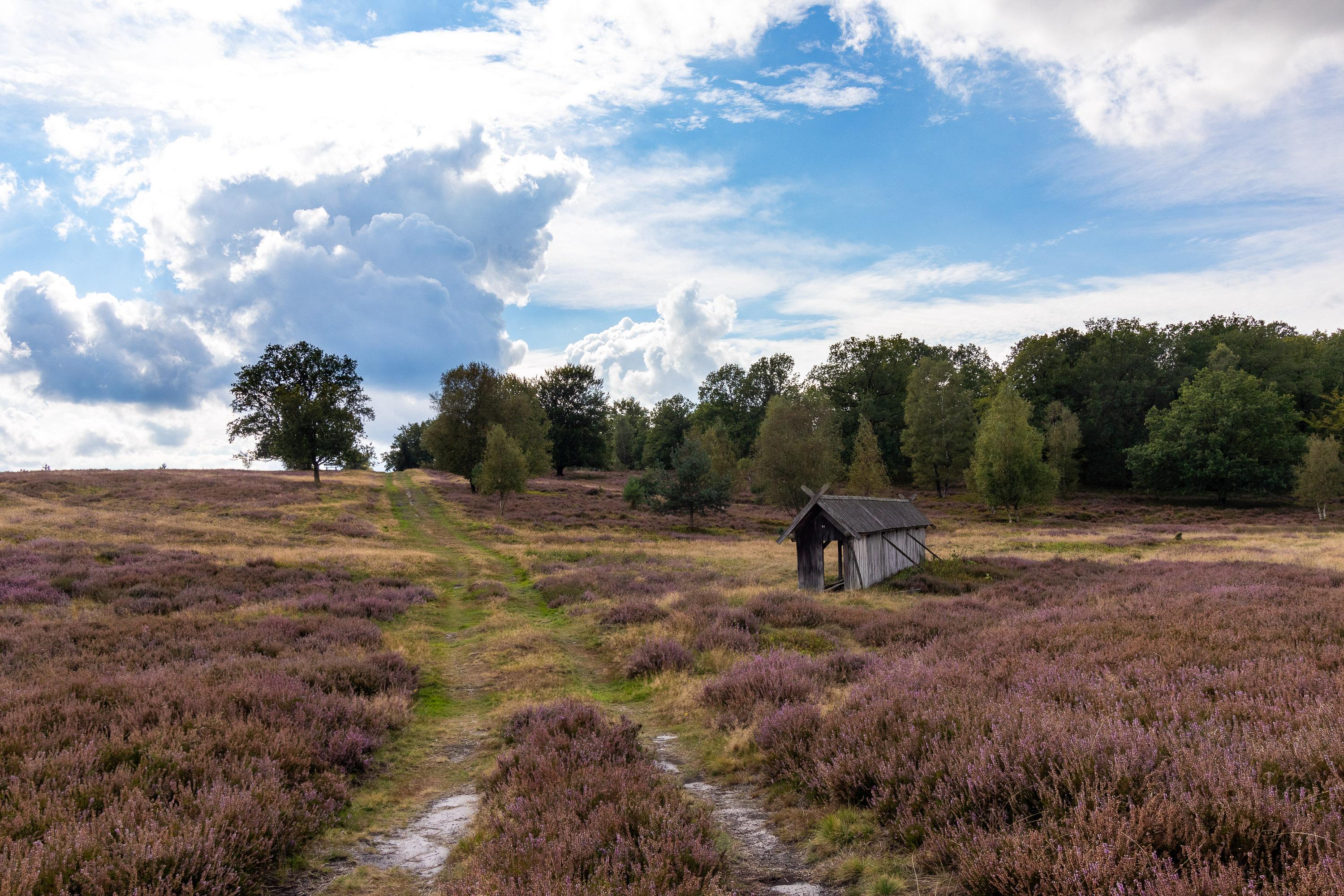 09.09.2024 Weseler Heide