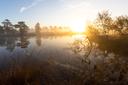 oranger Sonnenaufgang im Pietzmoor