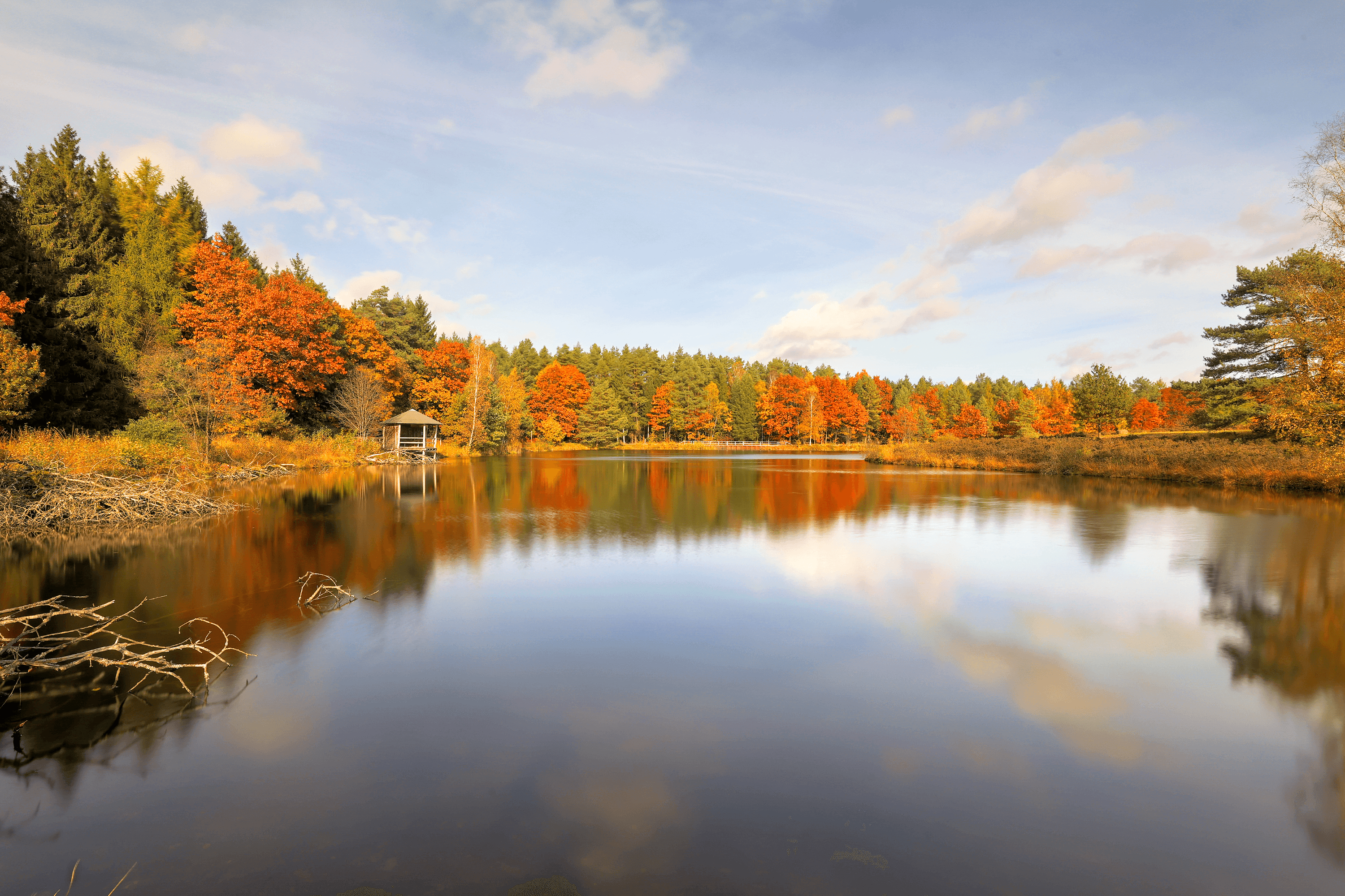 Herbst am Angelbecksteich