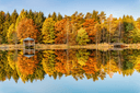 Bunter Herbst an Angelbecksteich in Hermannsburg