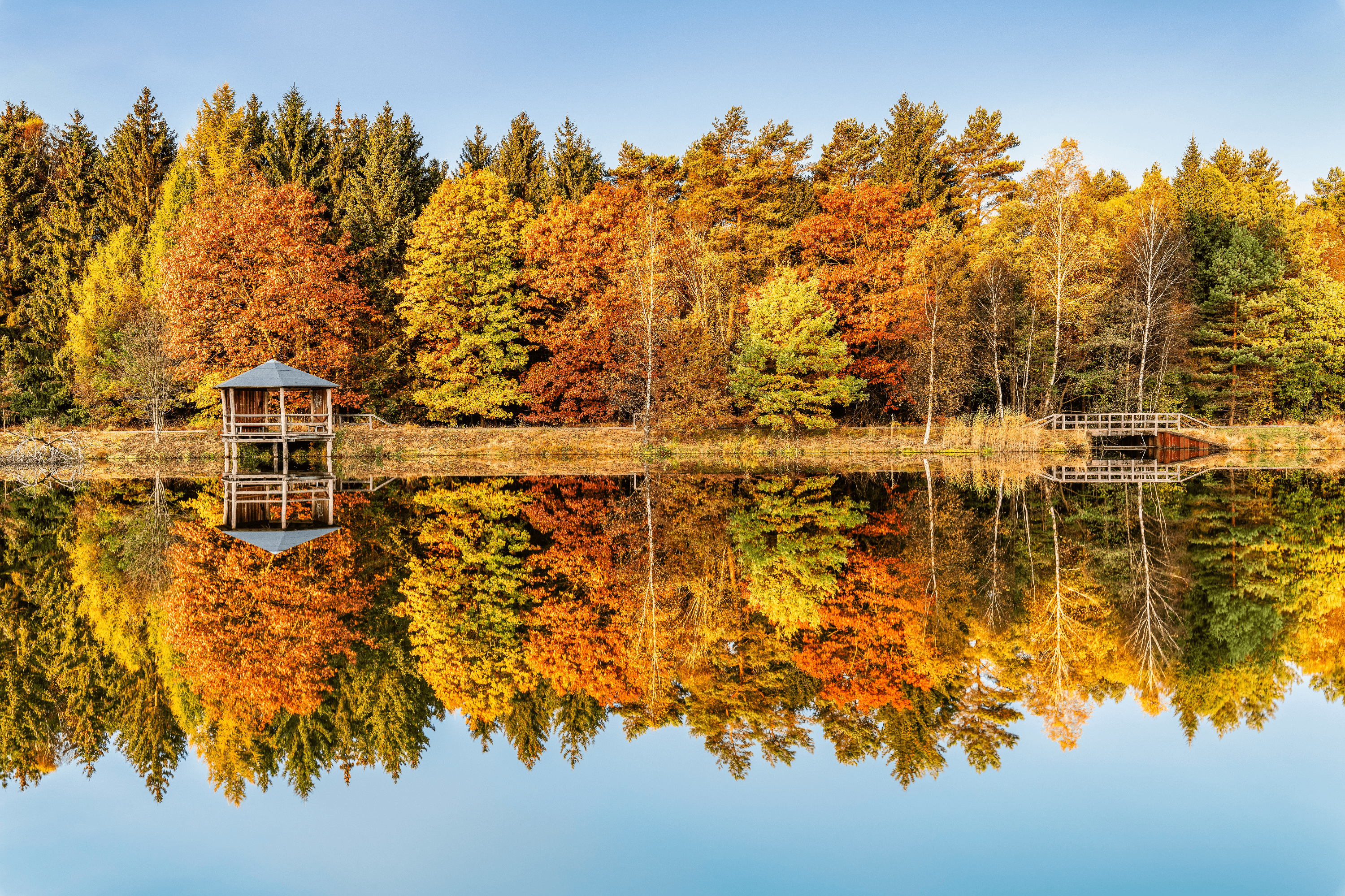 Bunter Herbst an Angelbecksteich in Hermannsburg