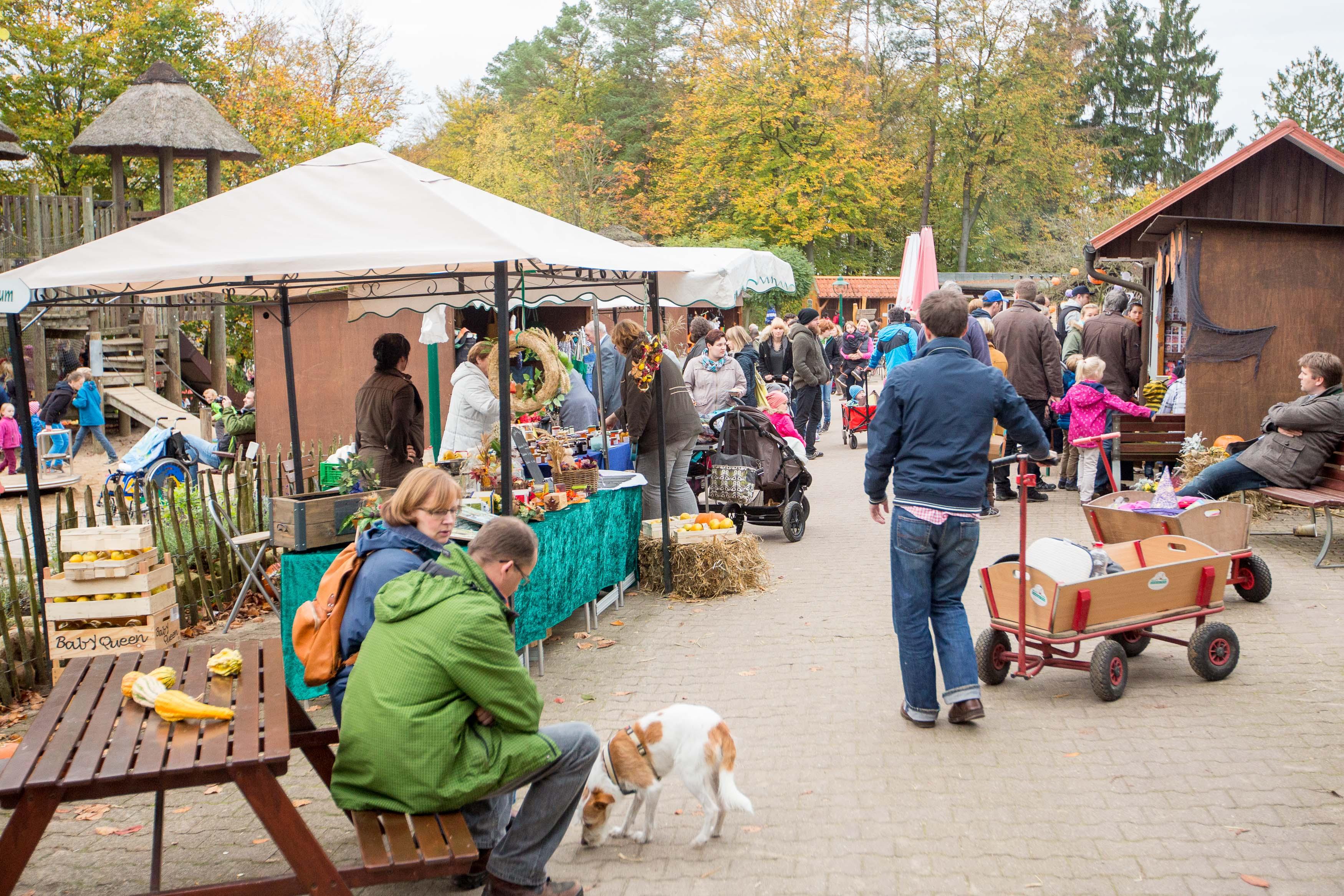 Halloween im Wildpark Lüneburger Heide