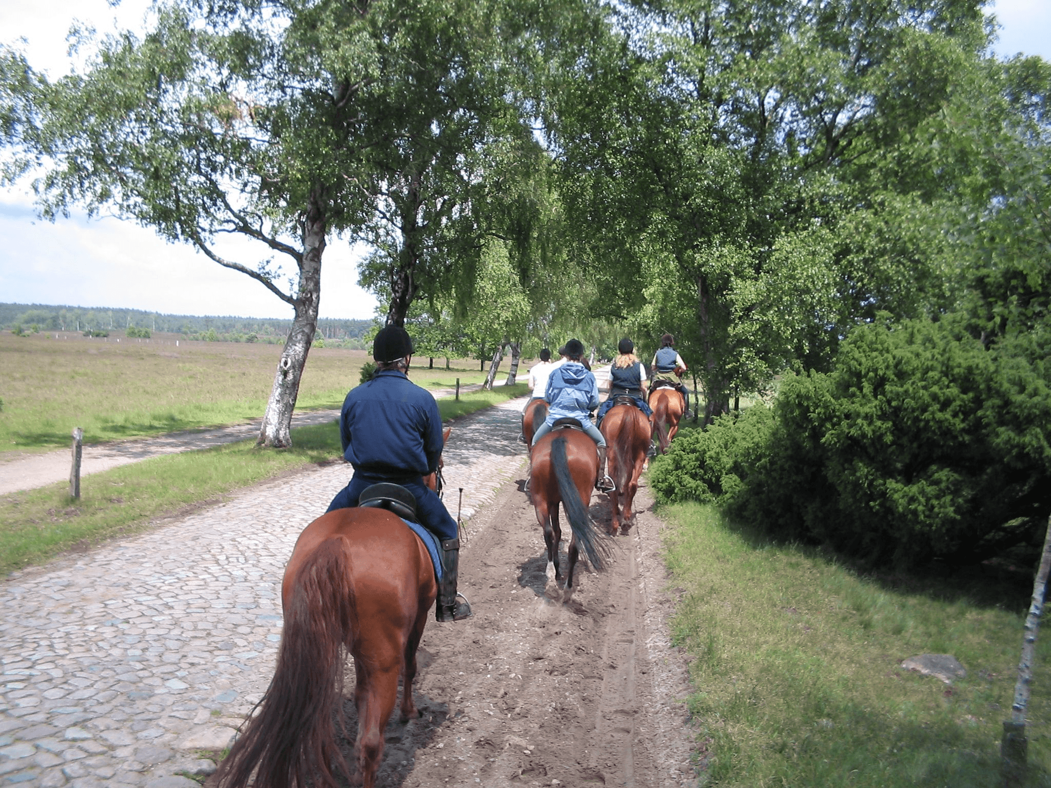 Pferde-Ausritt Feriendorf Sommarby Südsee-Camp 
